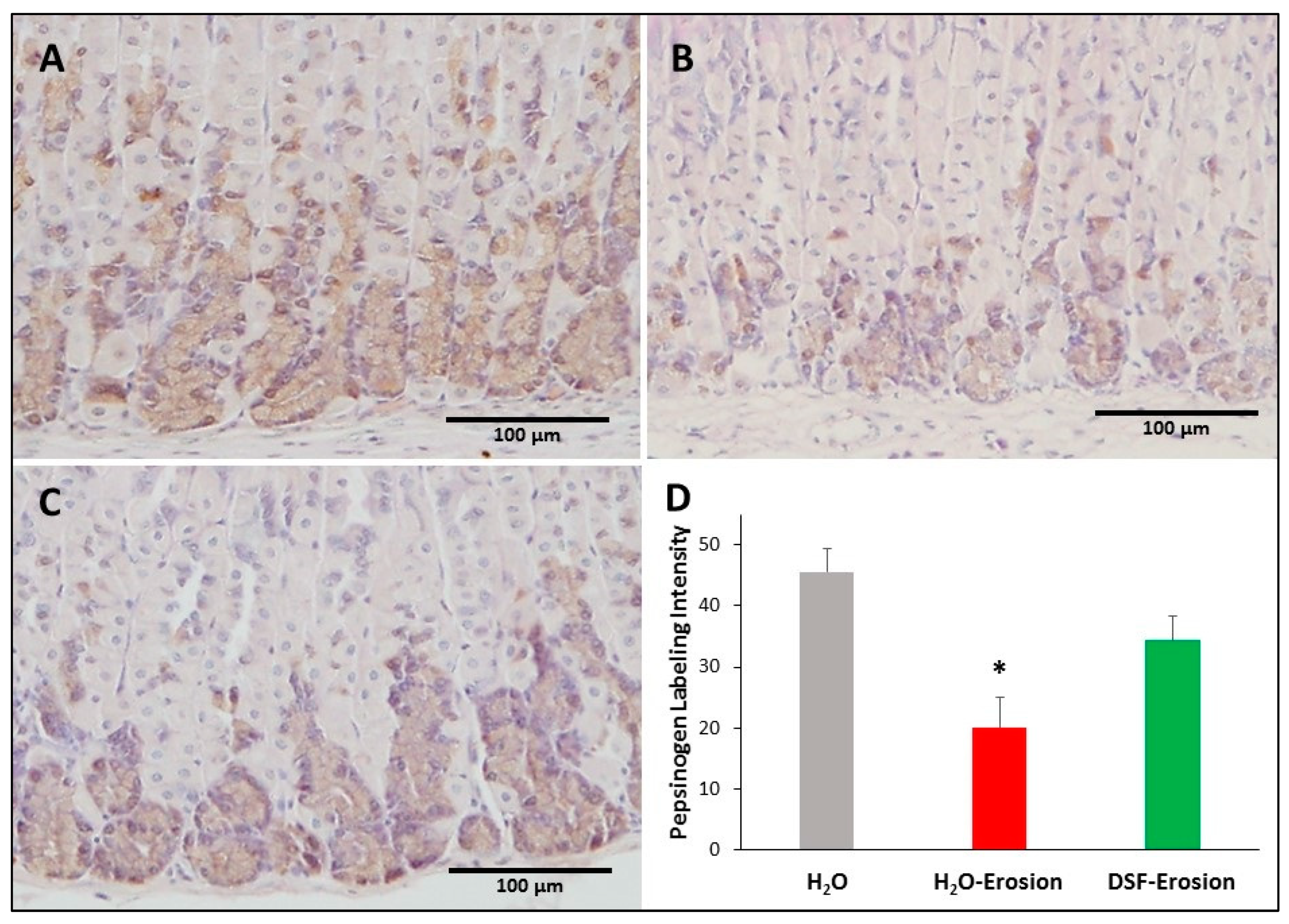Biology 10 00596 g009