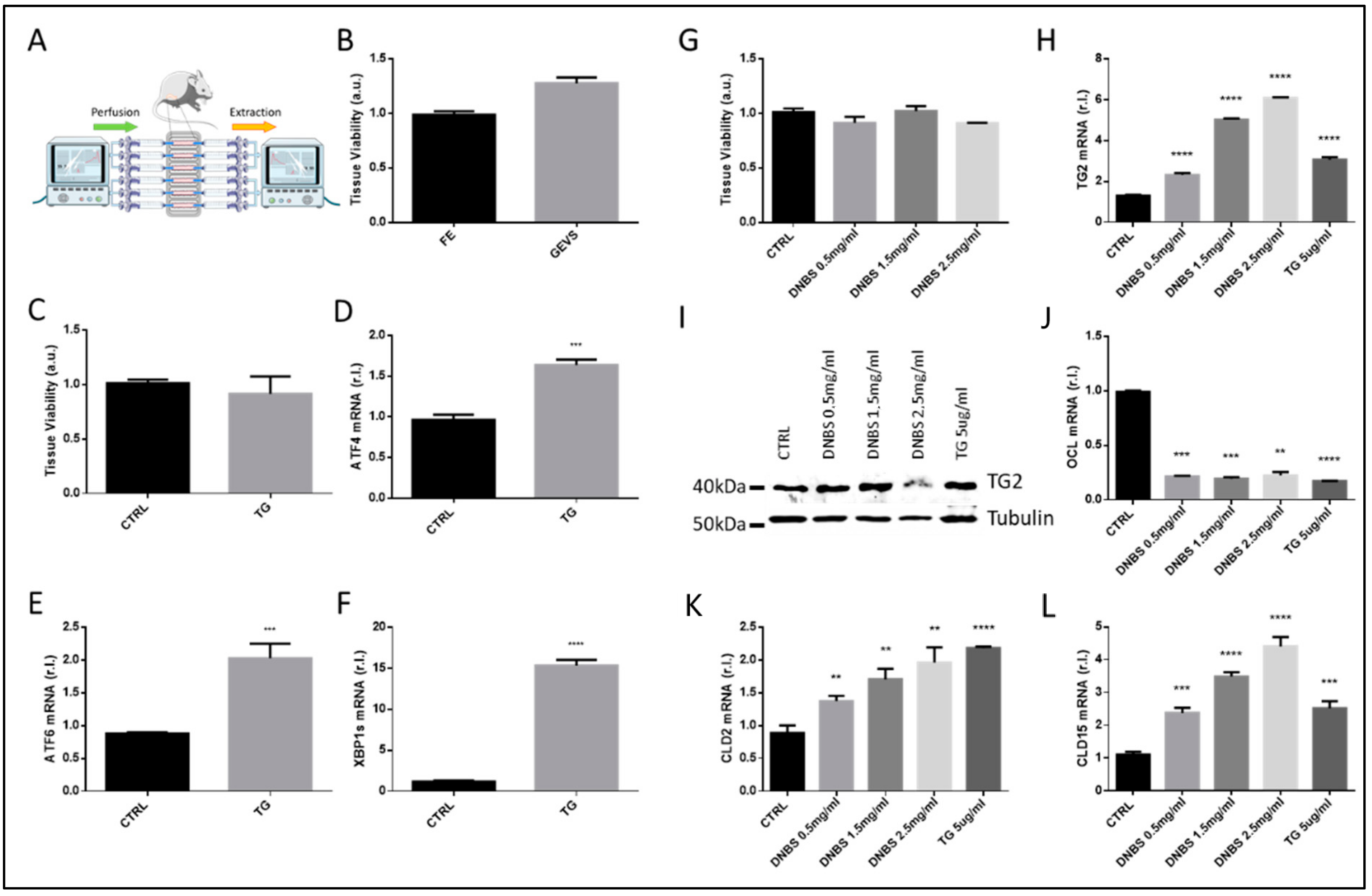 Biology 10 00605 g001