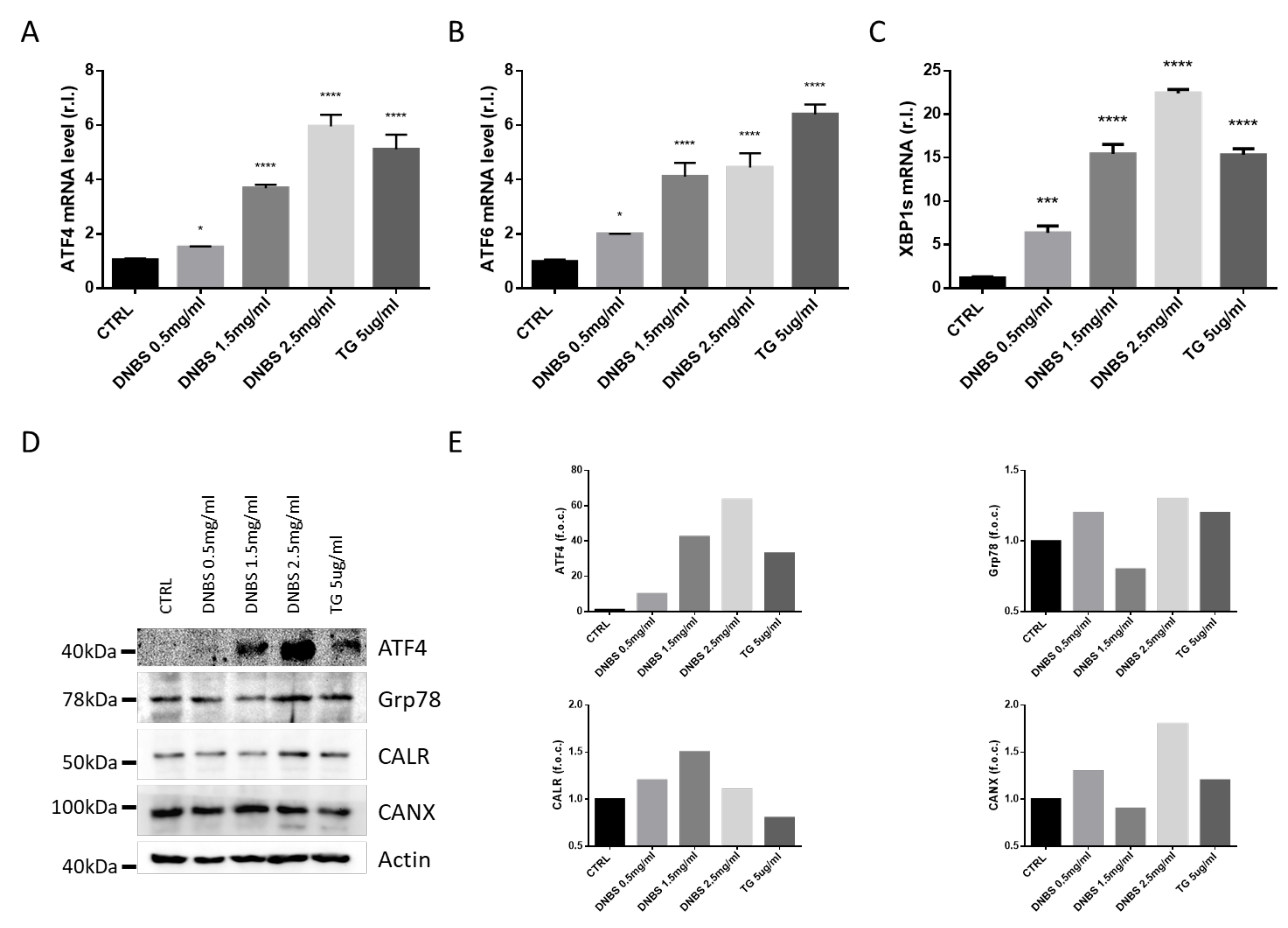 Biology 10 00605 g002
