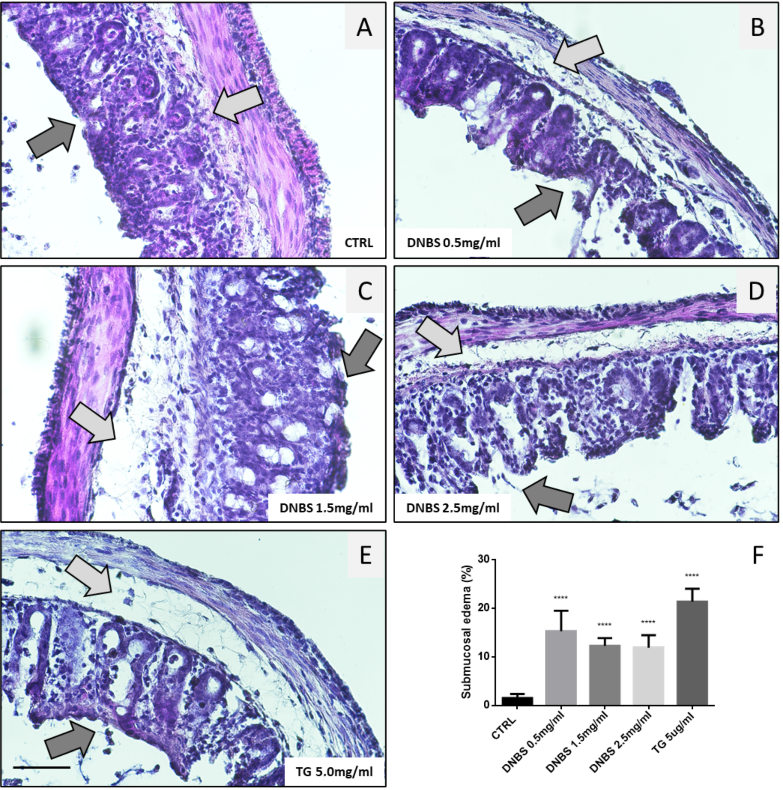 Biology 10 00605 g004