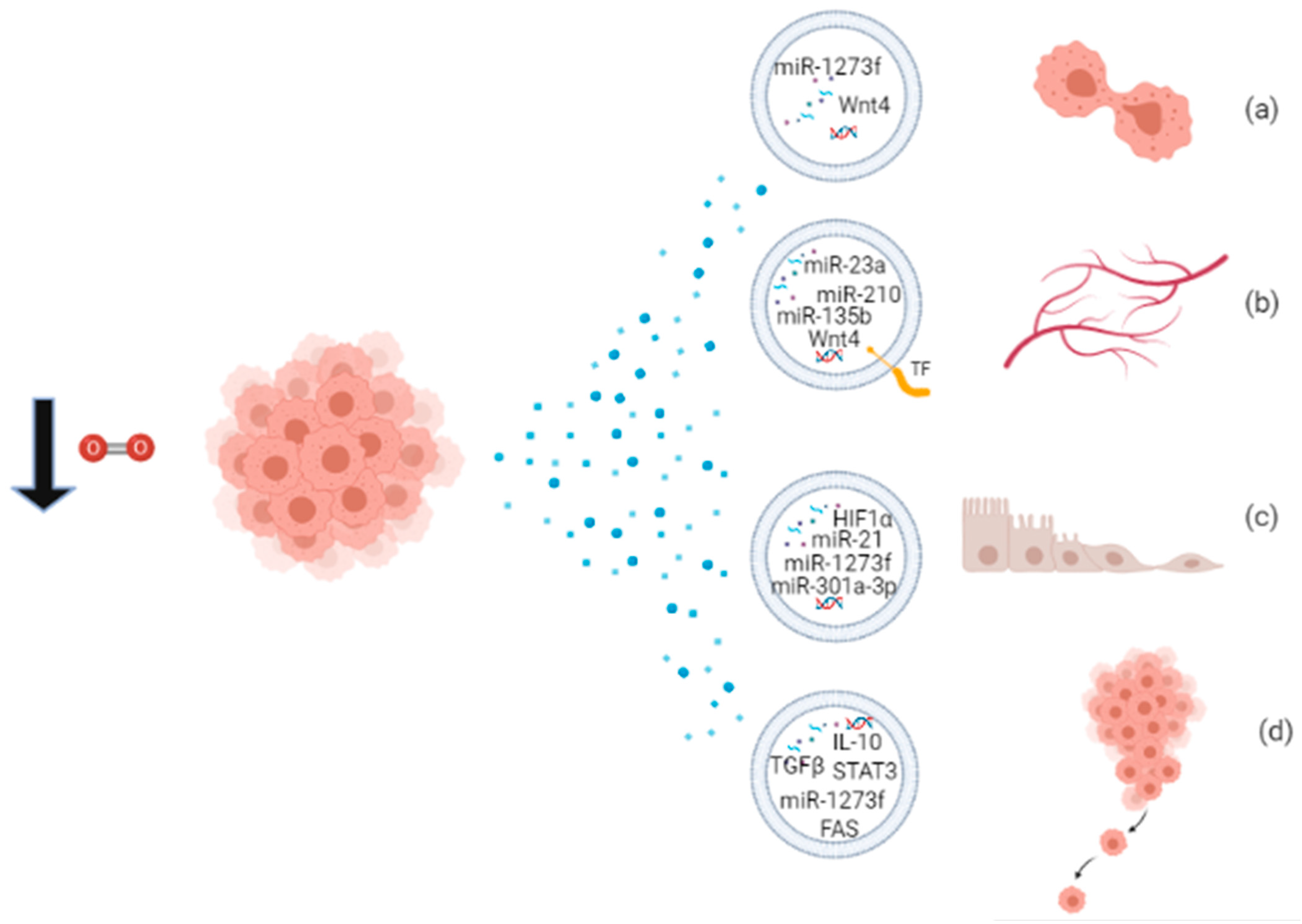 Biology 10 00606 g002