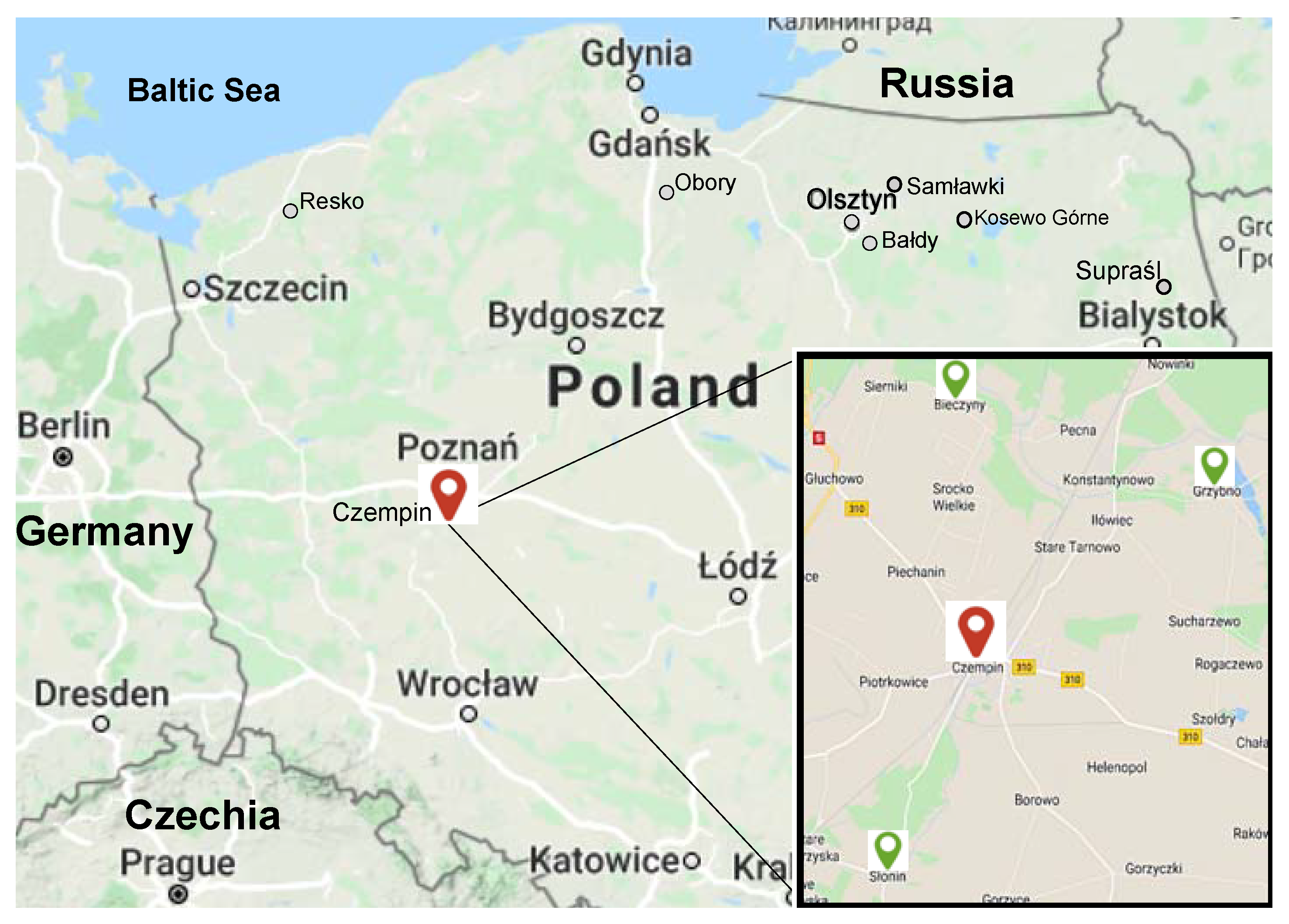 Biology 10 00612 g001