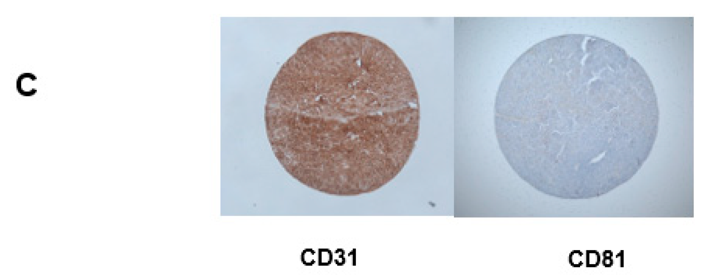 Biology 10 00629 g002b