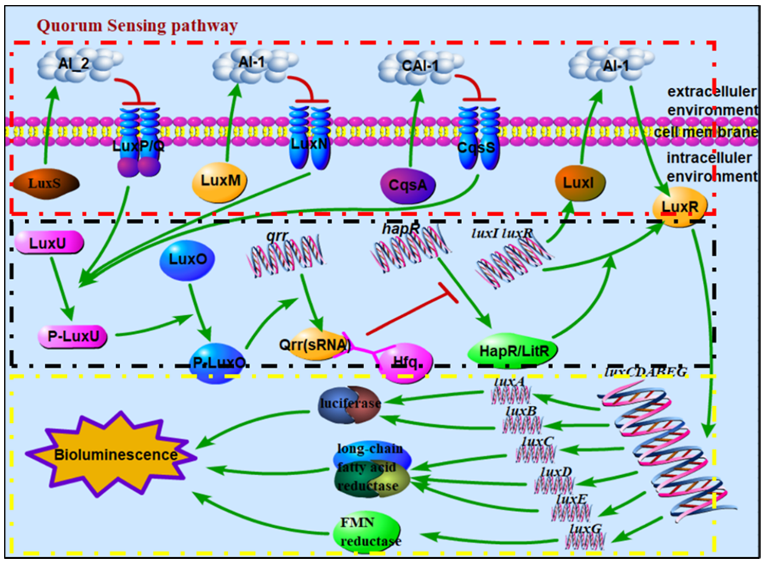 Biology 10 00638 g001
