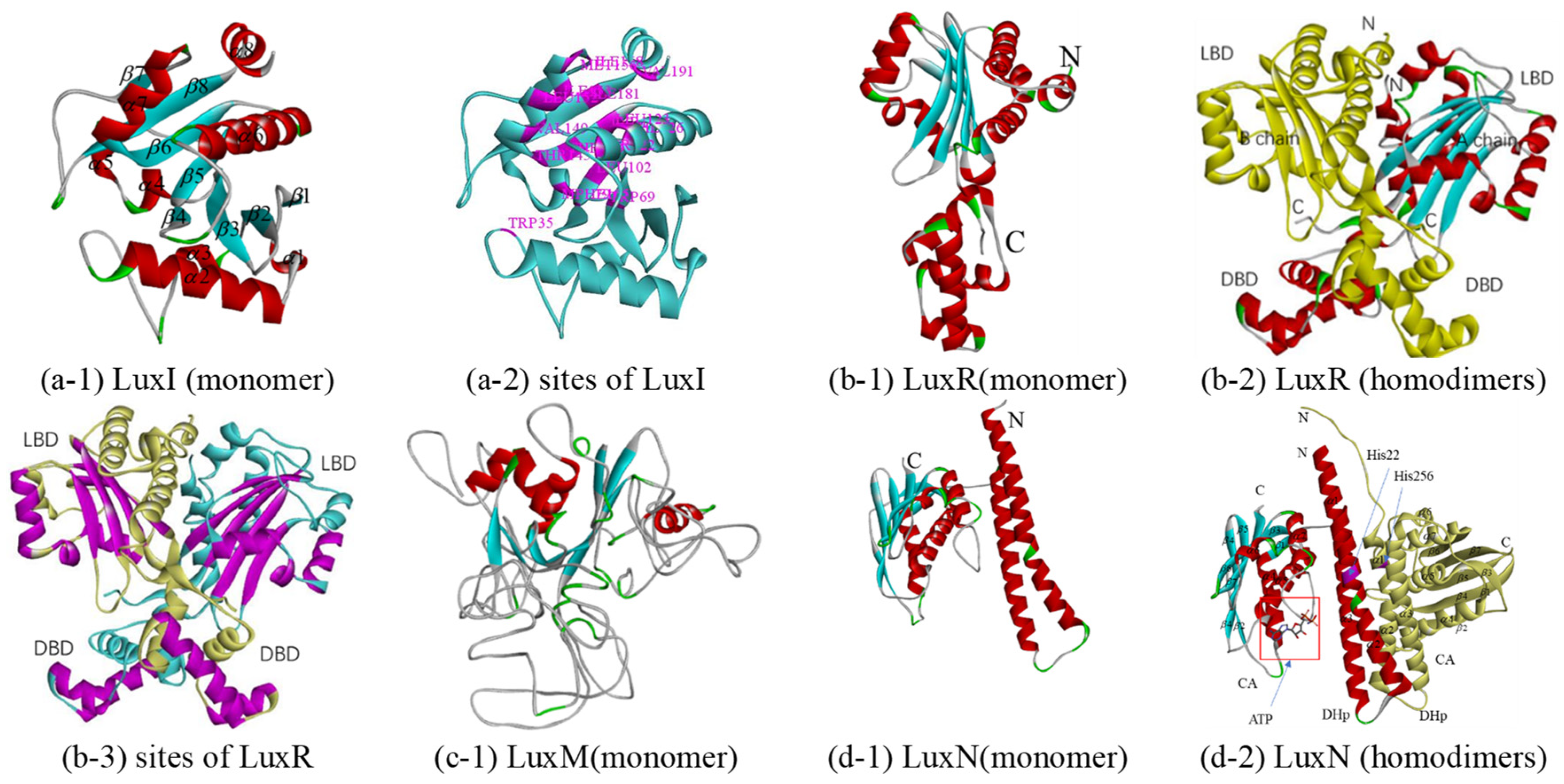 Biology 10 00638 g002