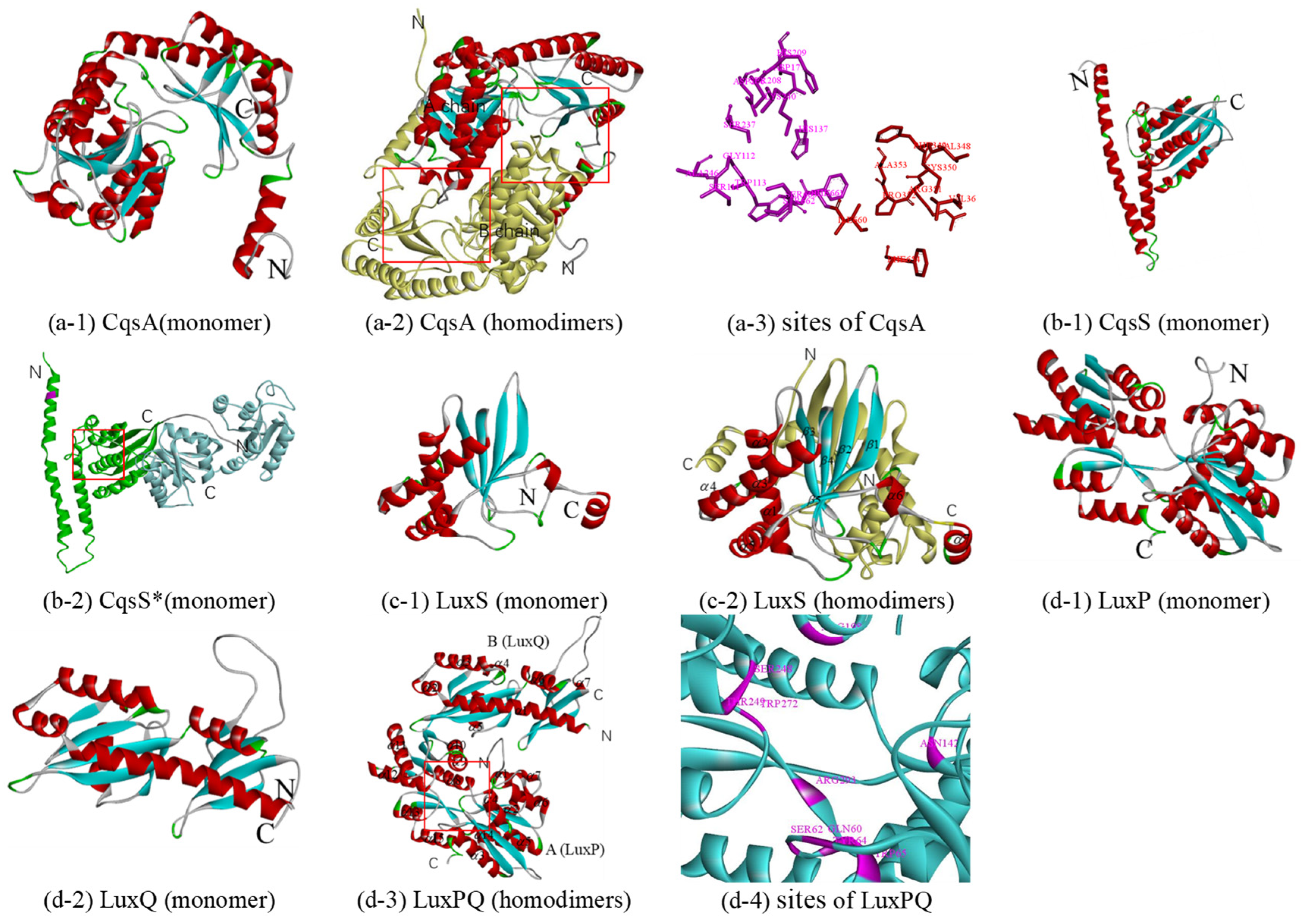 Biology 10 00638 g003