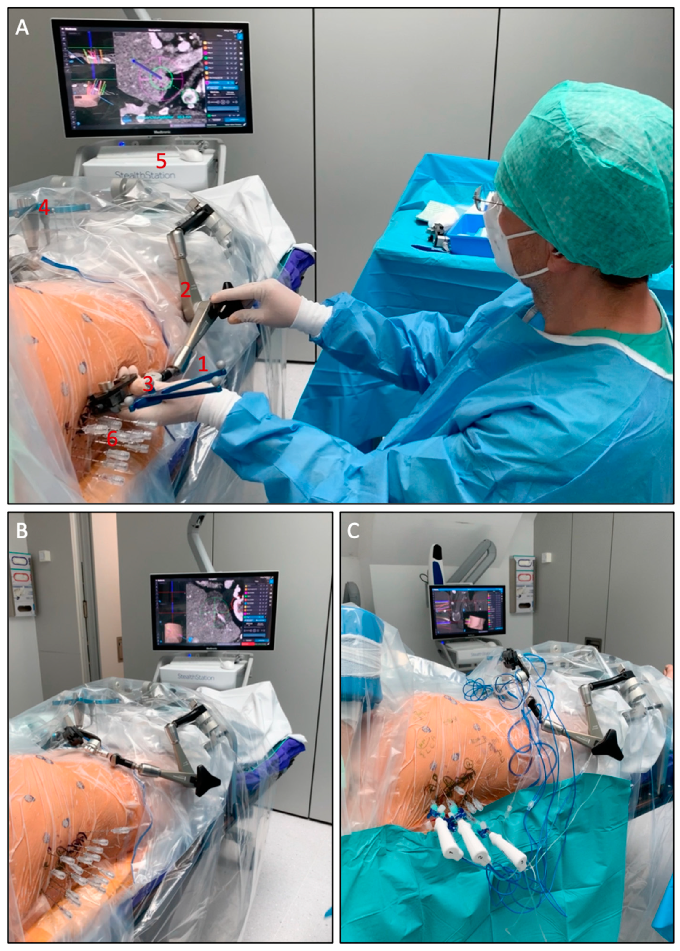 Biology 10 00644 g001