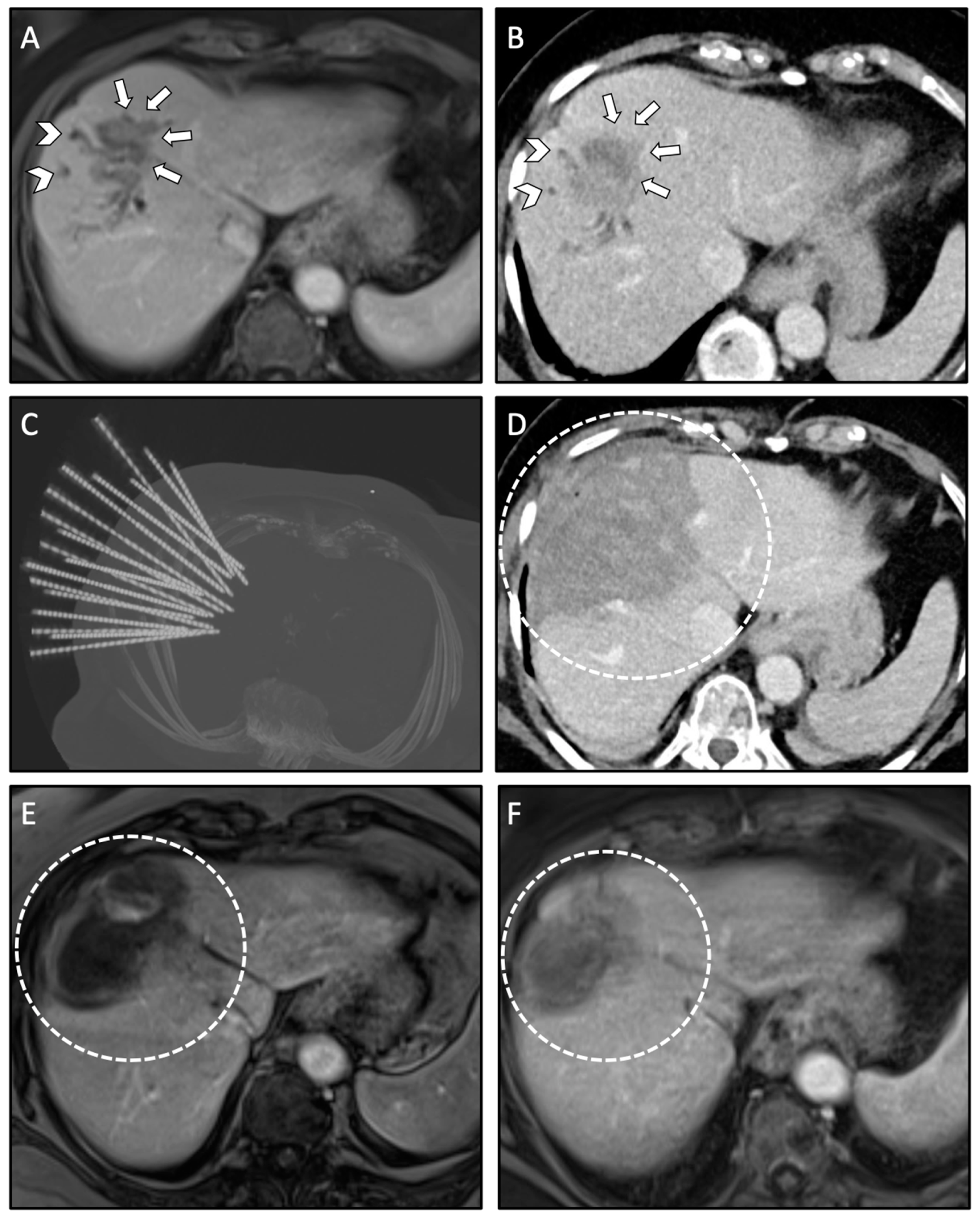 Biology 10 00644 g002
