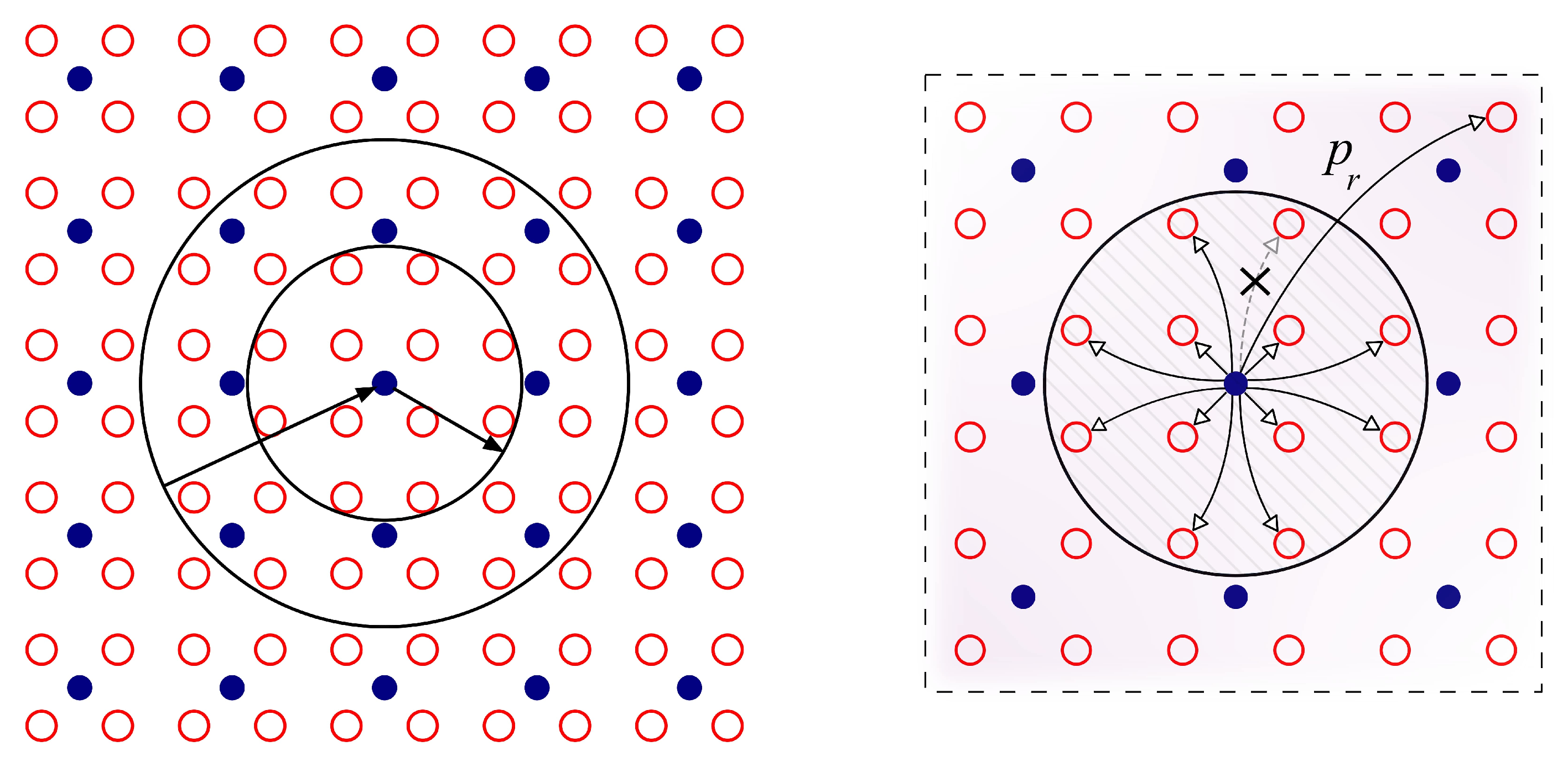 Biology 10 00647 g001
