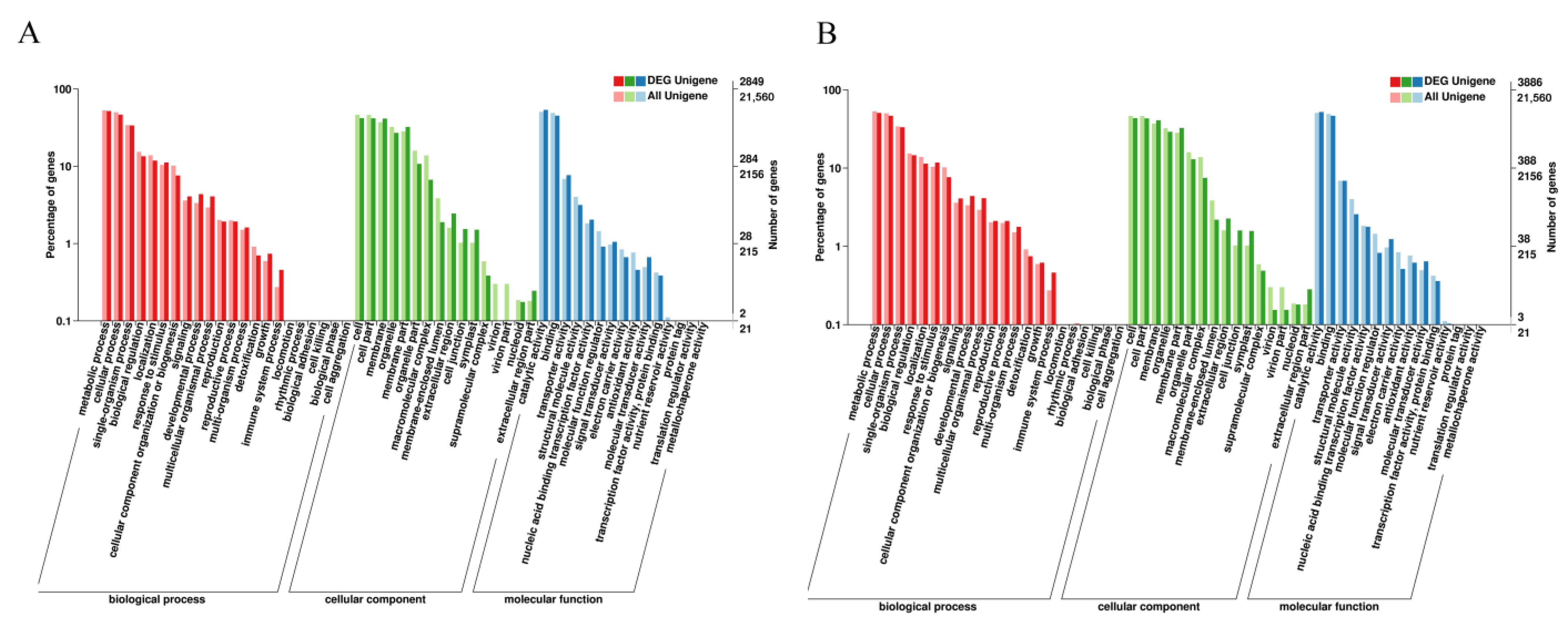 Biology 10 00648 g002