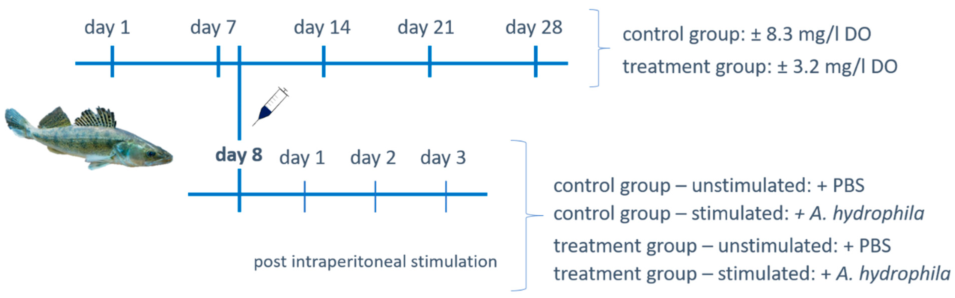 Biology 10 00649 g001
