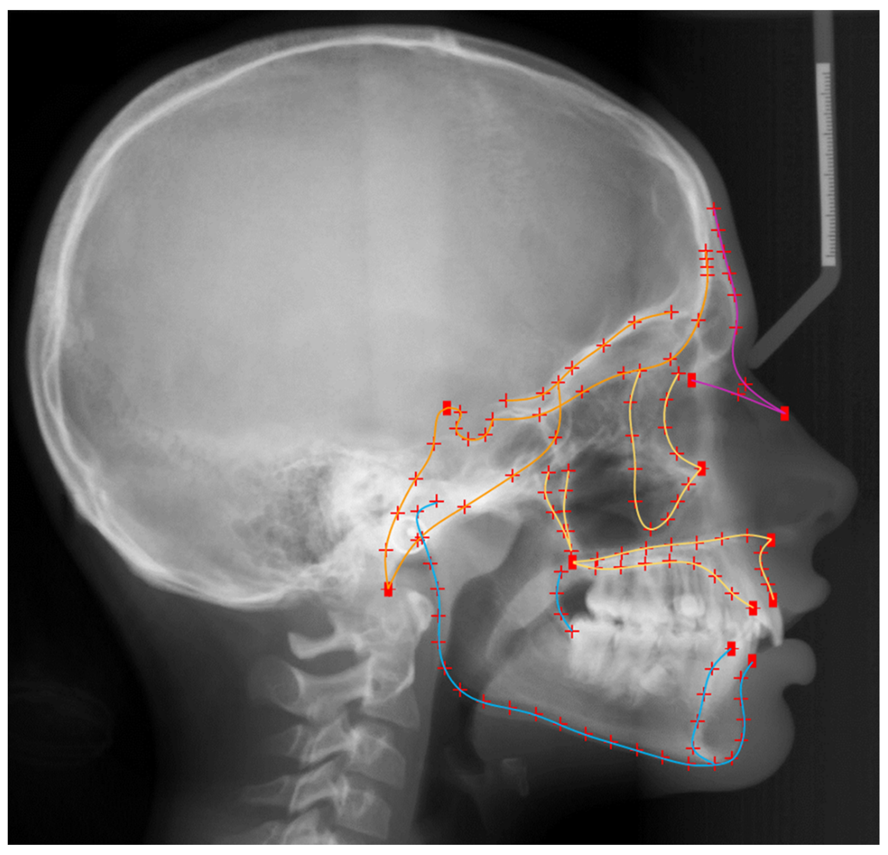 Biology 10 00650 g001