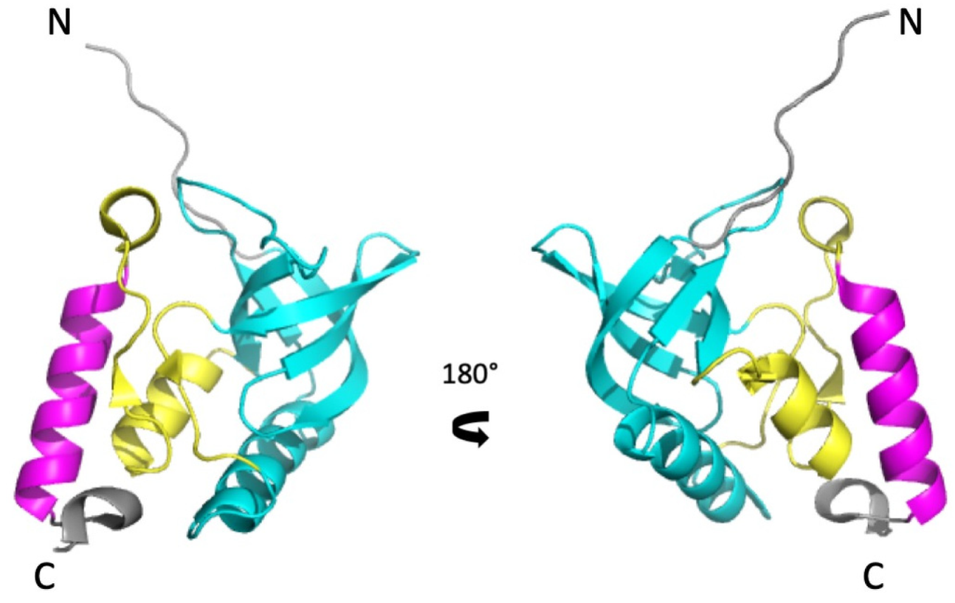 Biology 10 00656 g001
