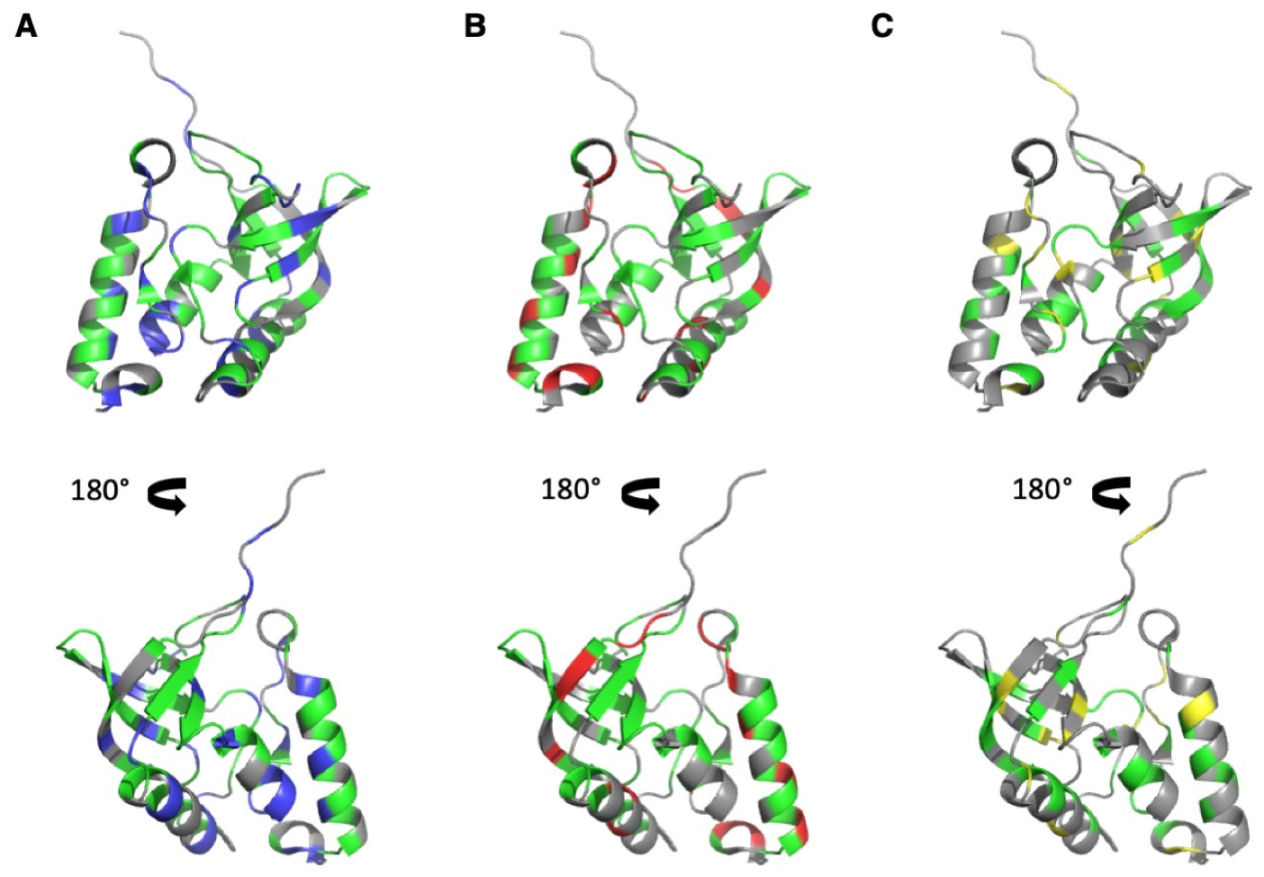 Biology 10 00656 g002