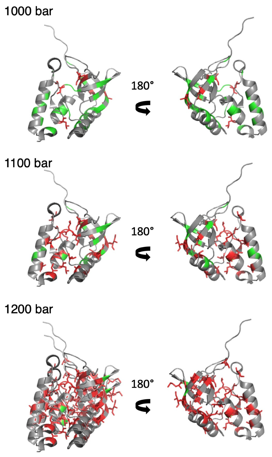 Biology 10 00656 g006
