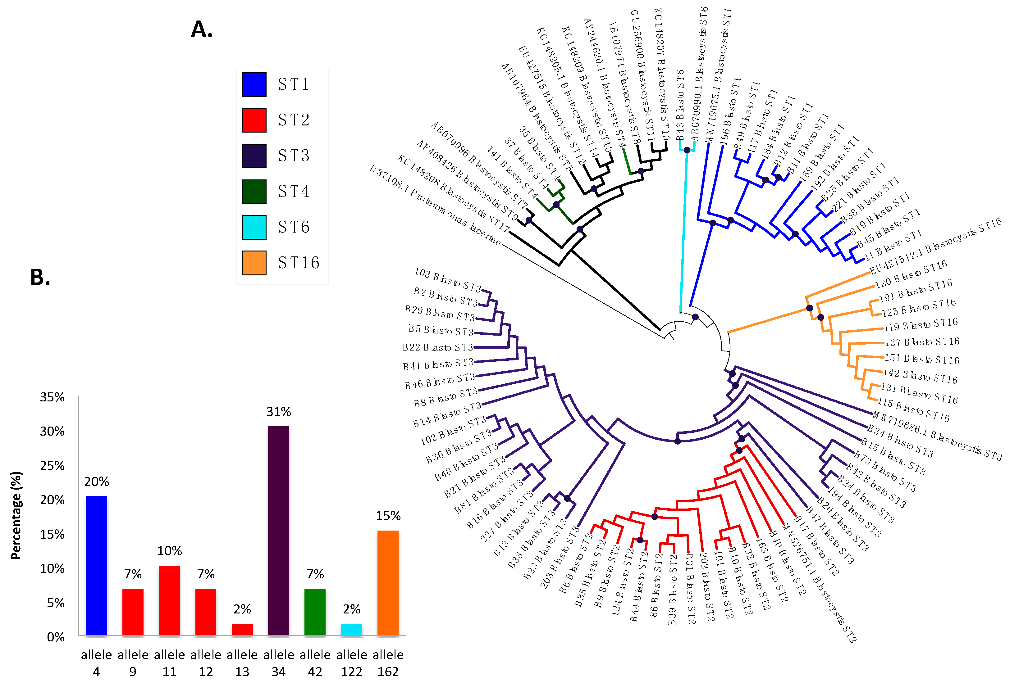 Biology 10 00669 g004