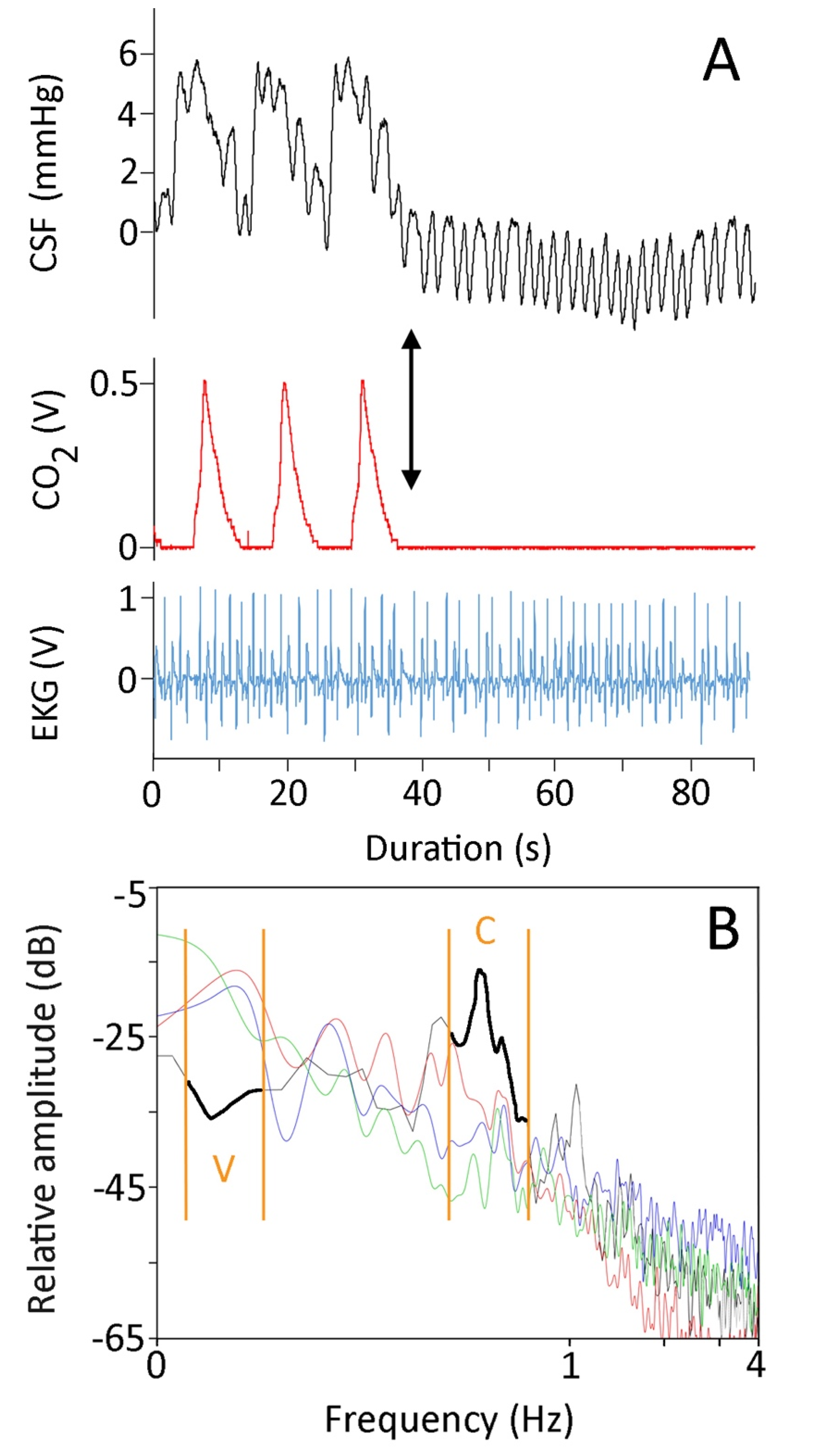 Biology 10 00672 g001