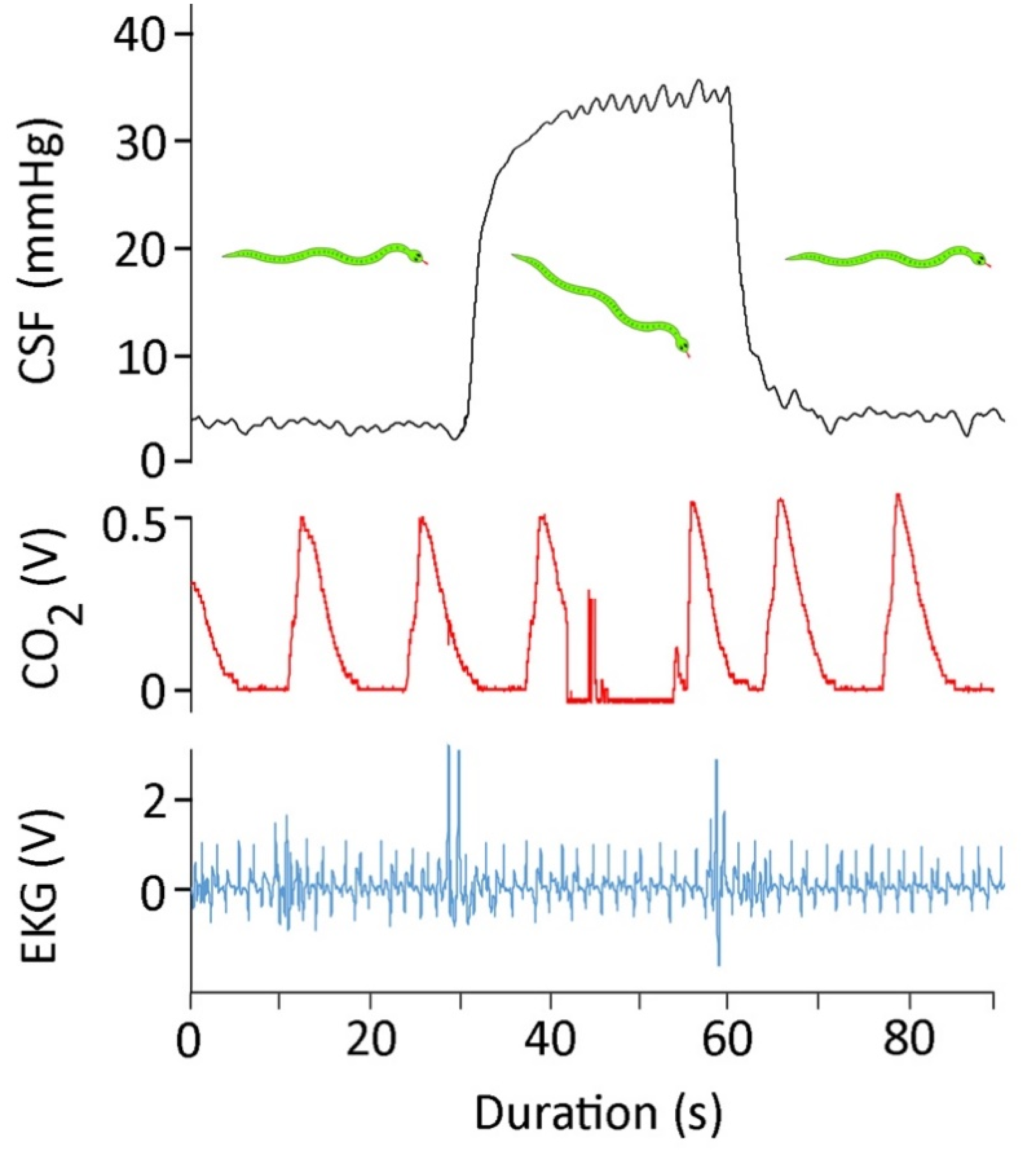 Biology 10 00672 g002