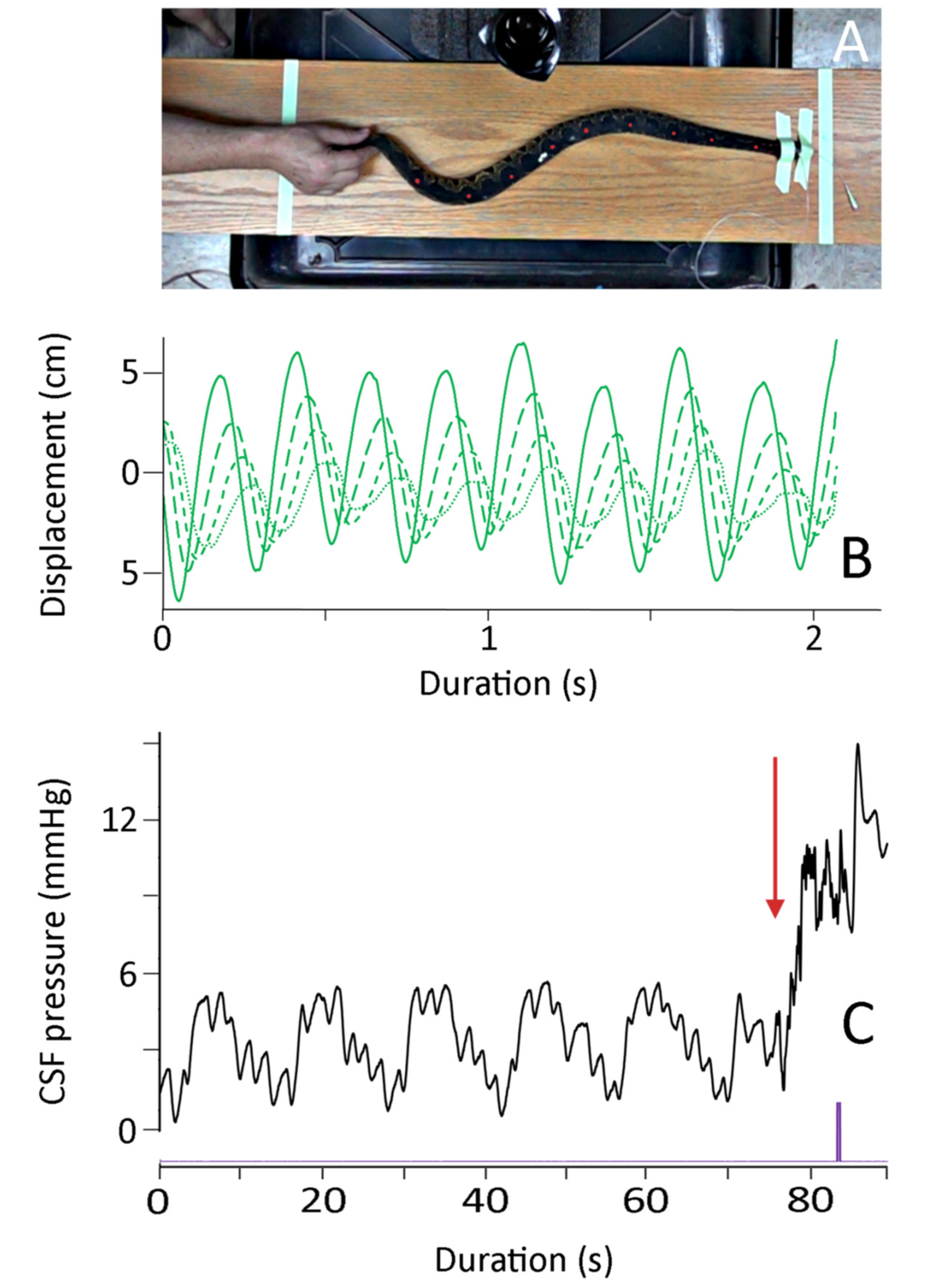 Biology 10 00672 g003