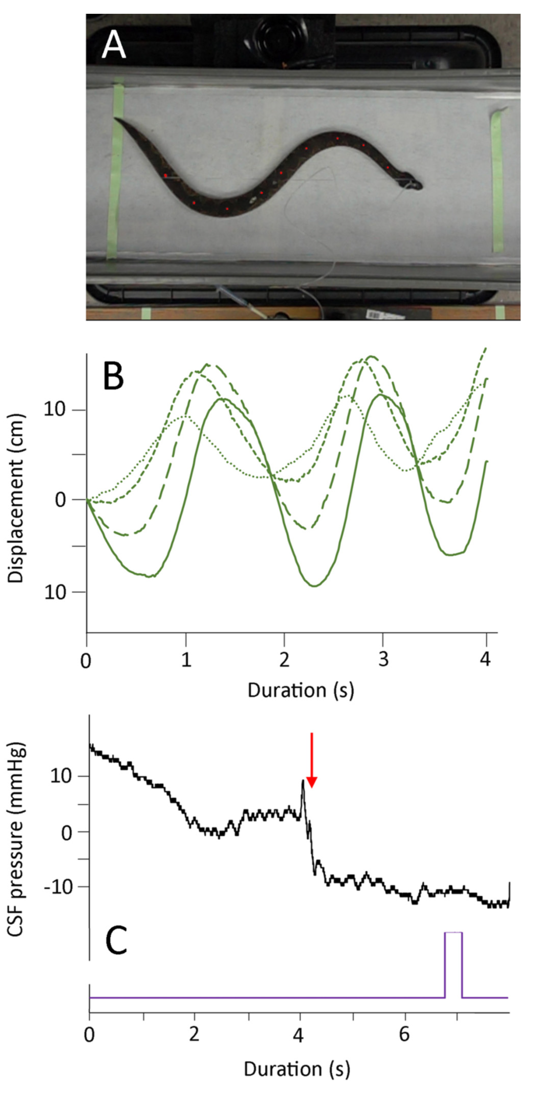 Biology 10 00672 g005