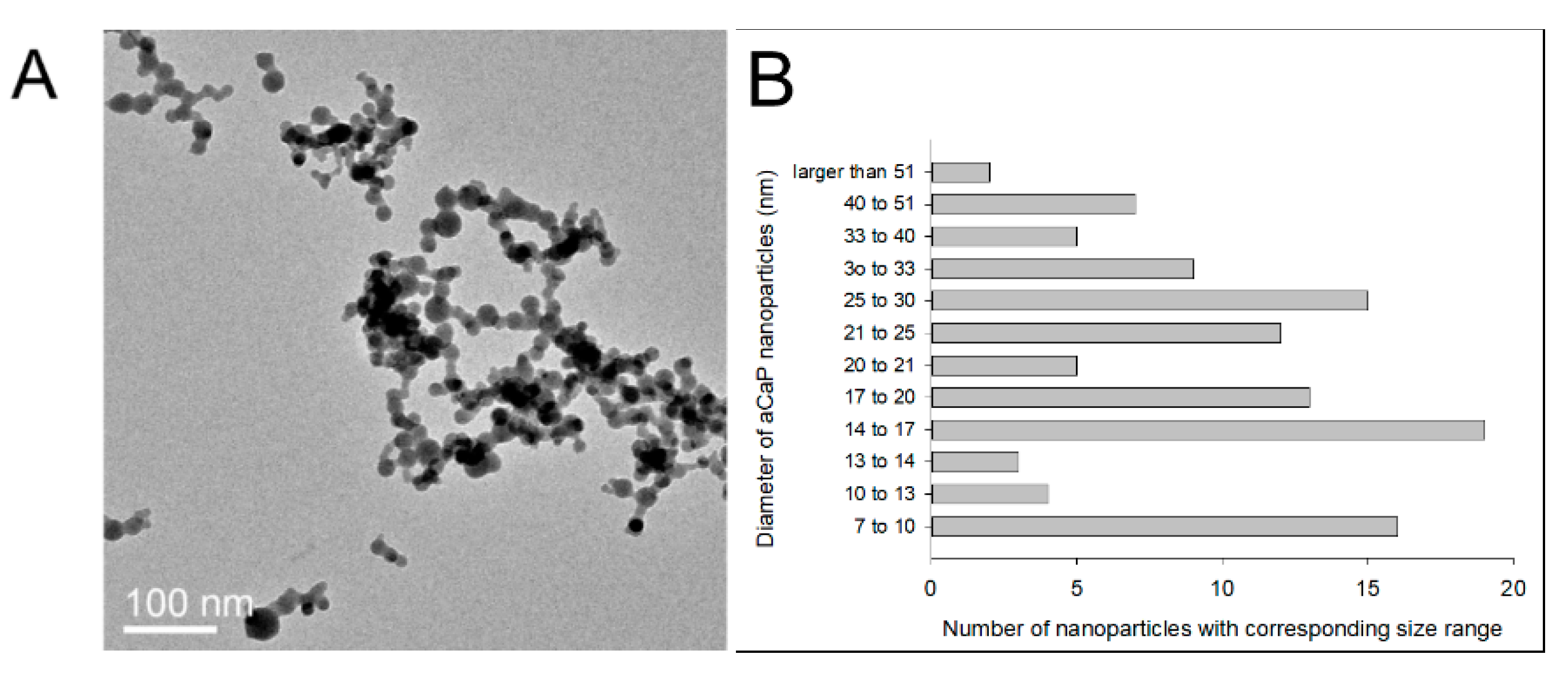 Biology 10 00675 g001