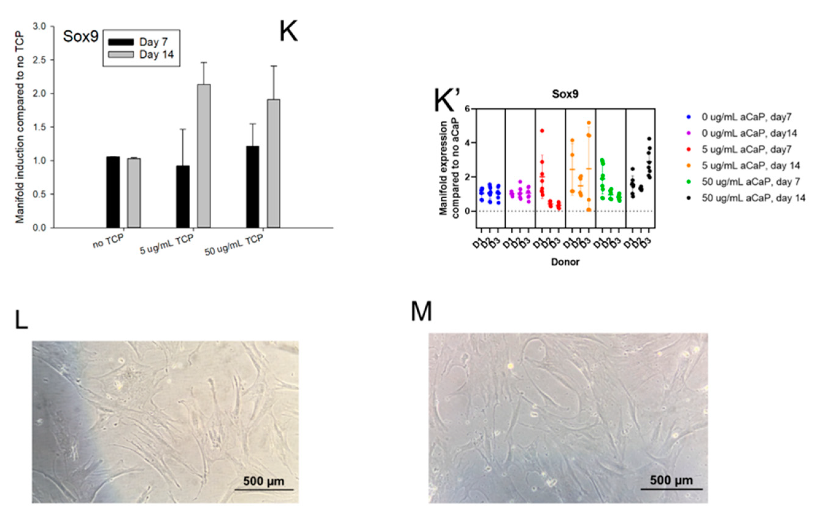 Biology 10 00675 g002c
