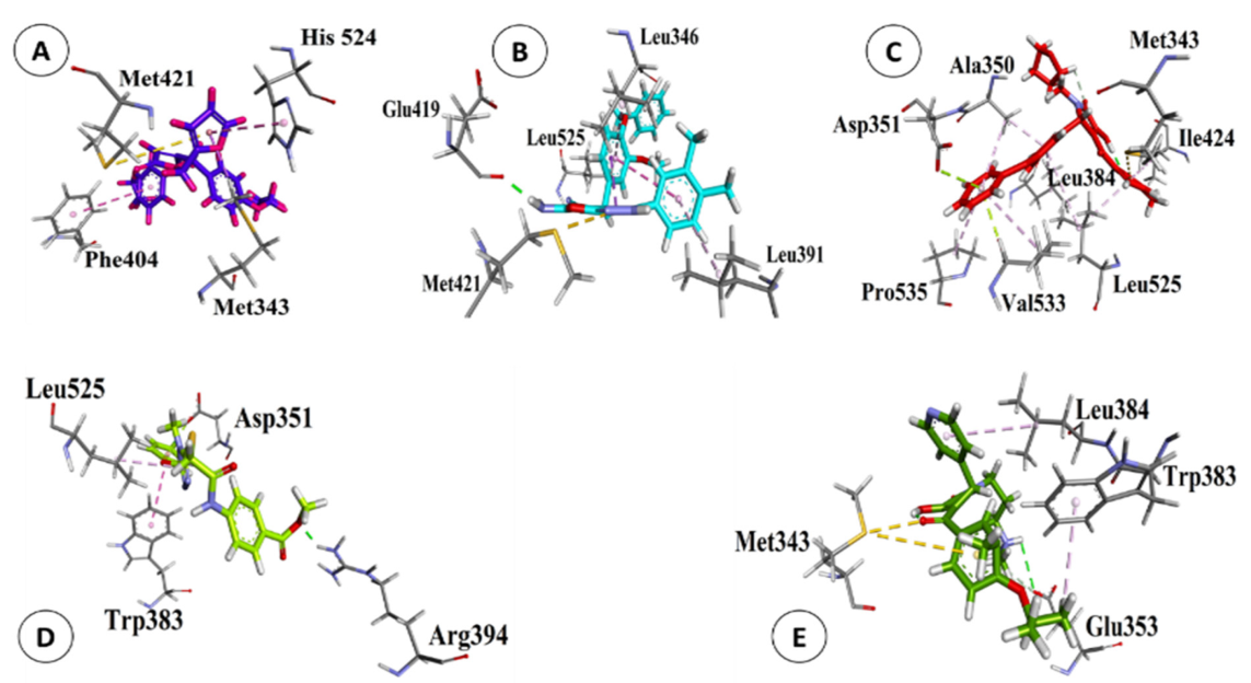 Biology 10 00681 g004