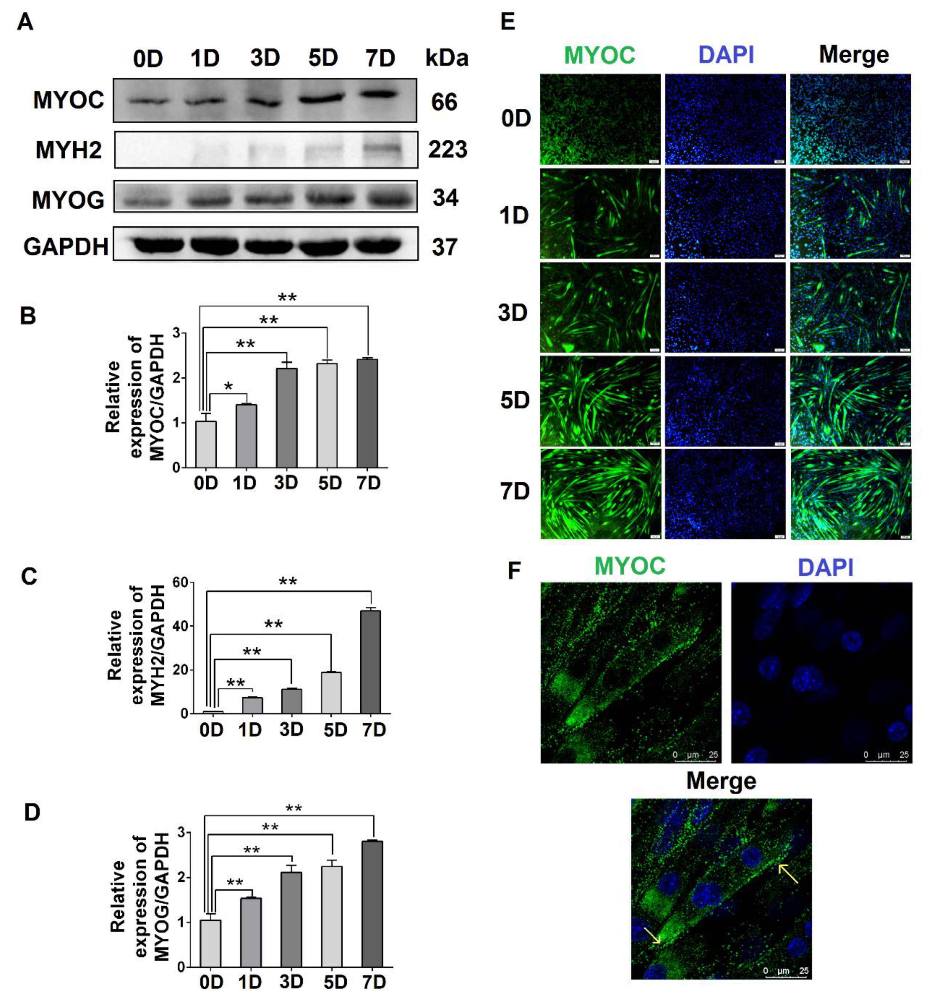 Biology 10 00686 g001