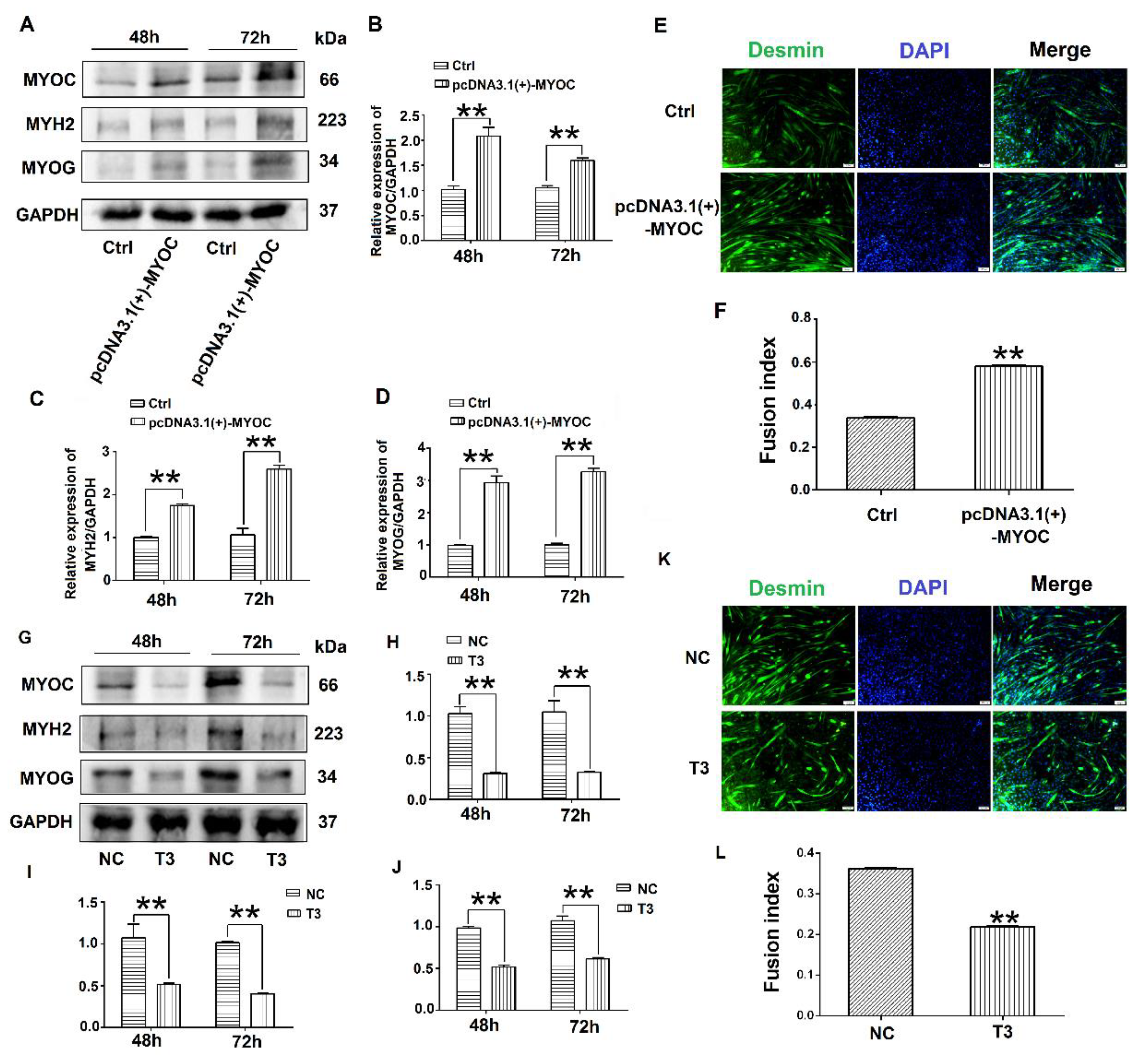 Biology 10 00686 g002