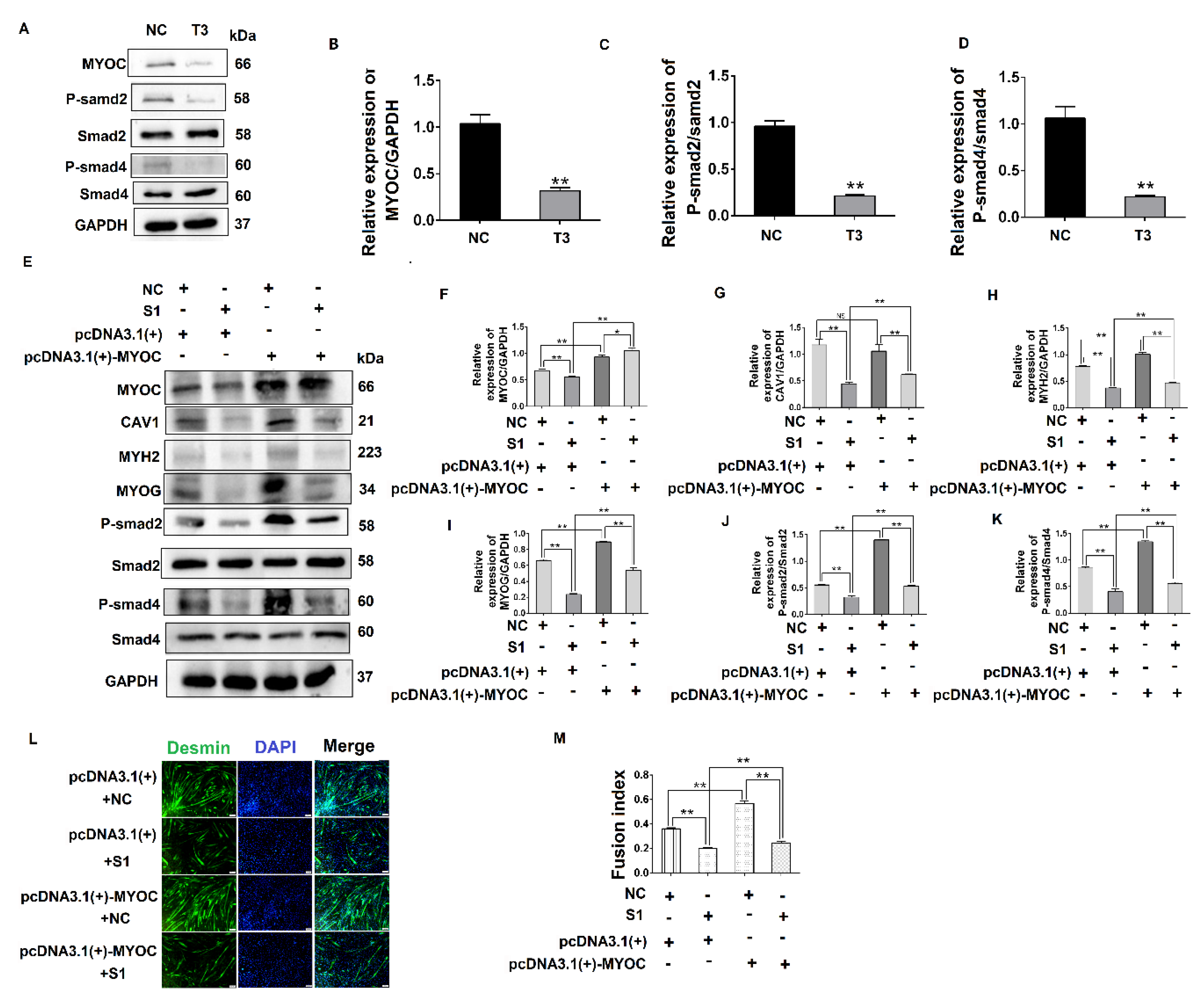 Biology 10 00686 g005