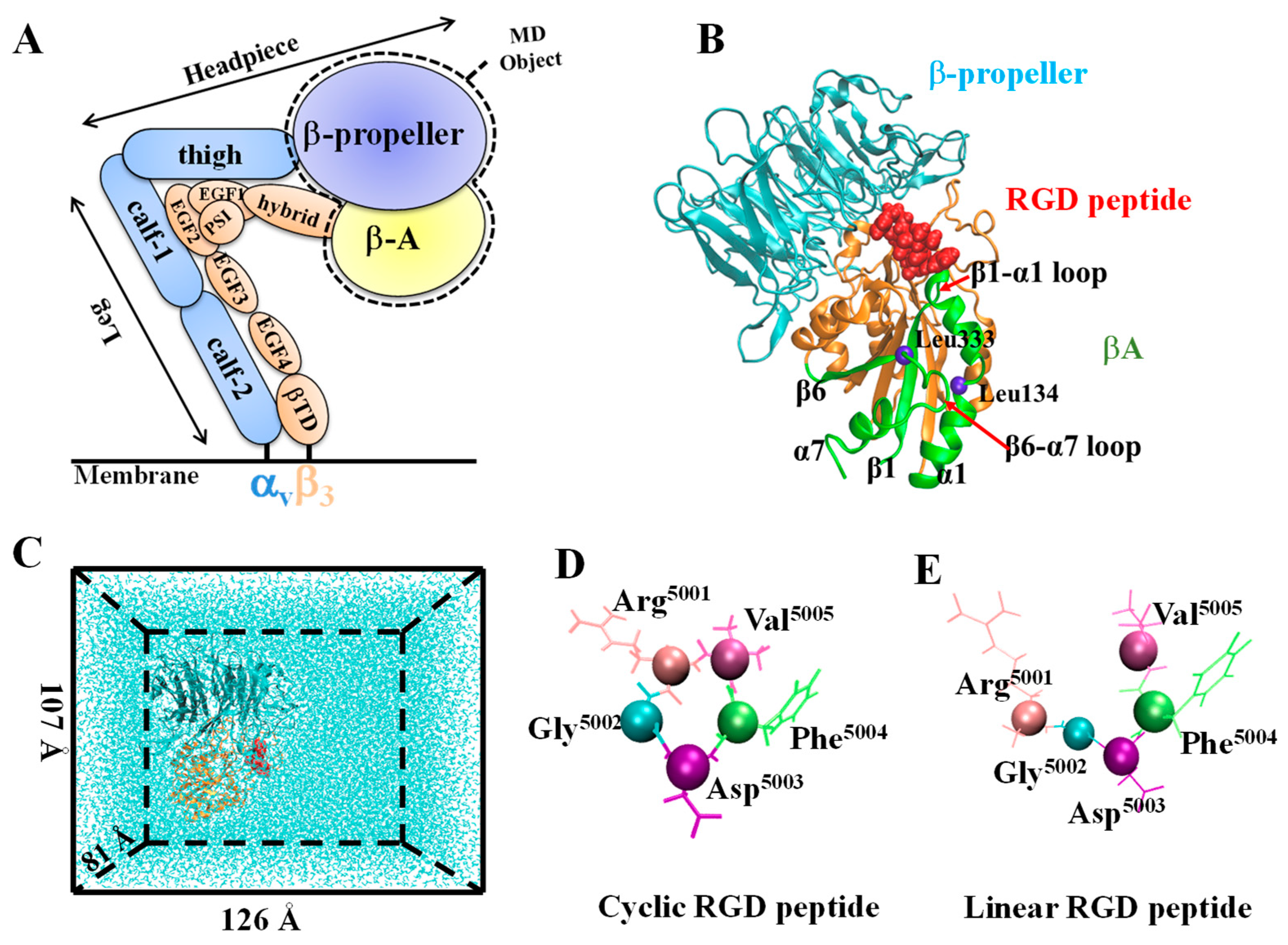 Biology 10 00688 g001