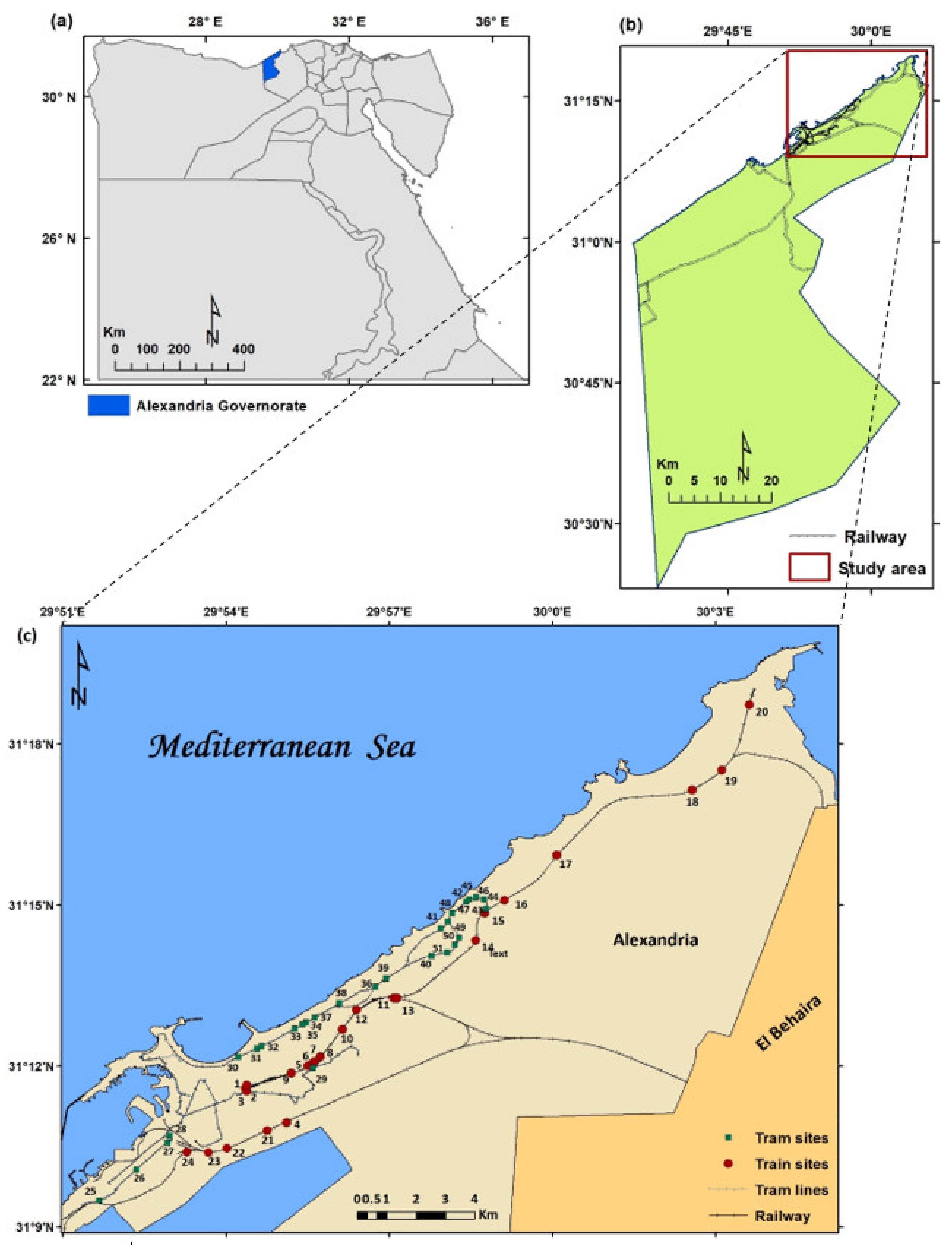 Biology 10 00698 g001