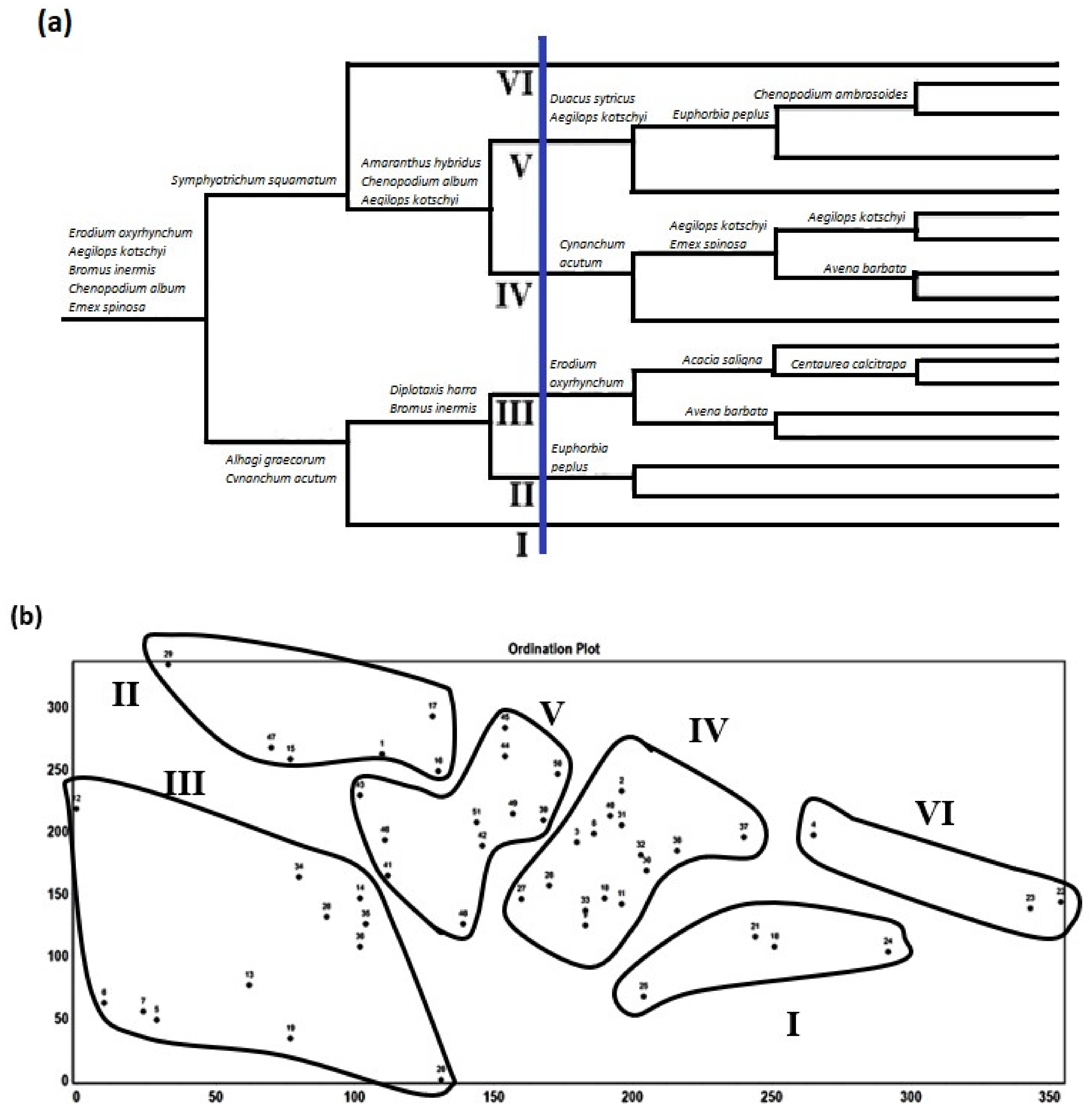 Biology 10 00698 g005