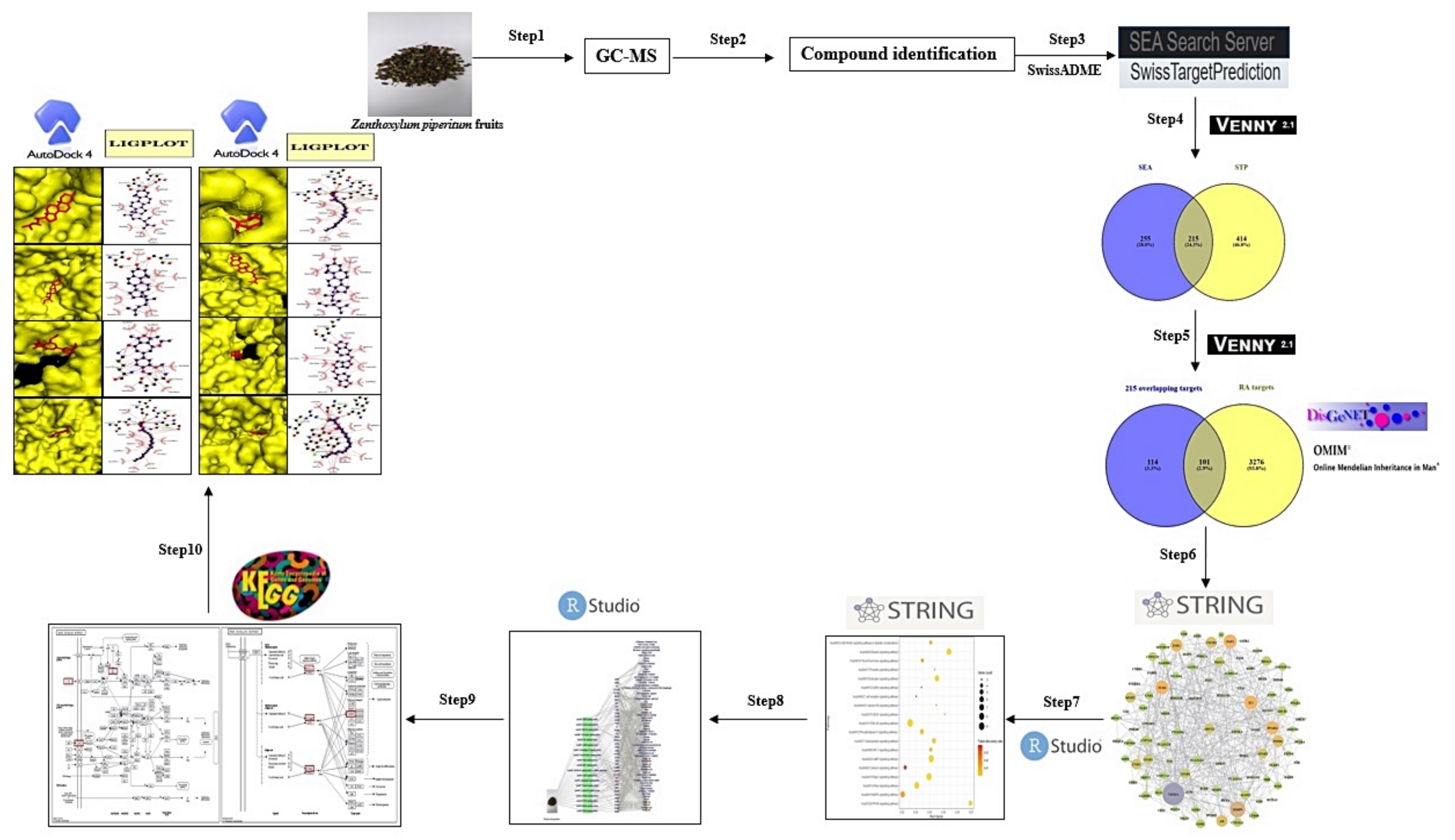Biology 10 00703 g001