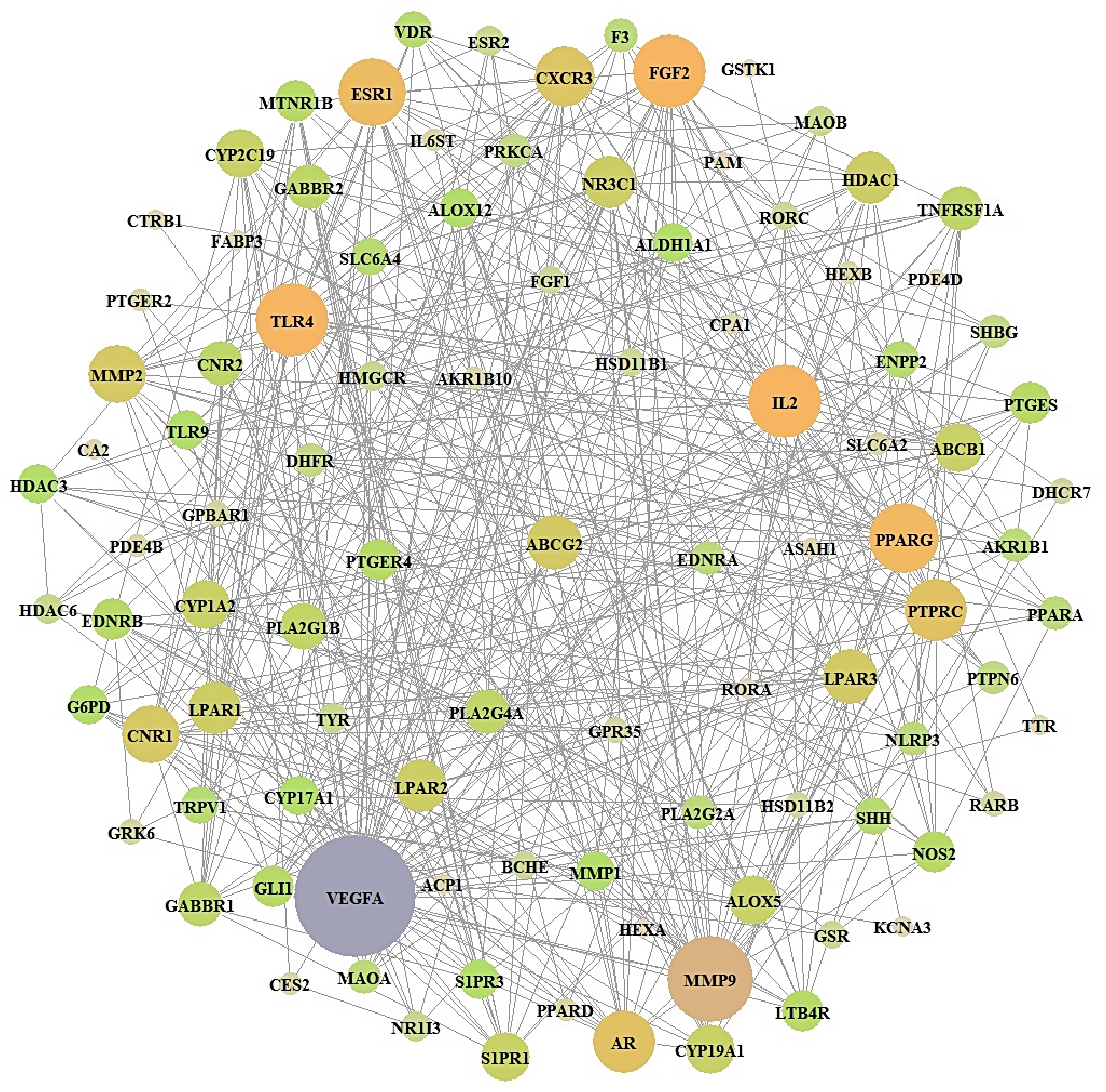 Biology 10 00703 g004