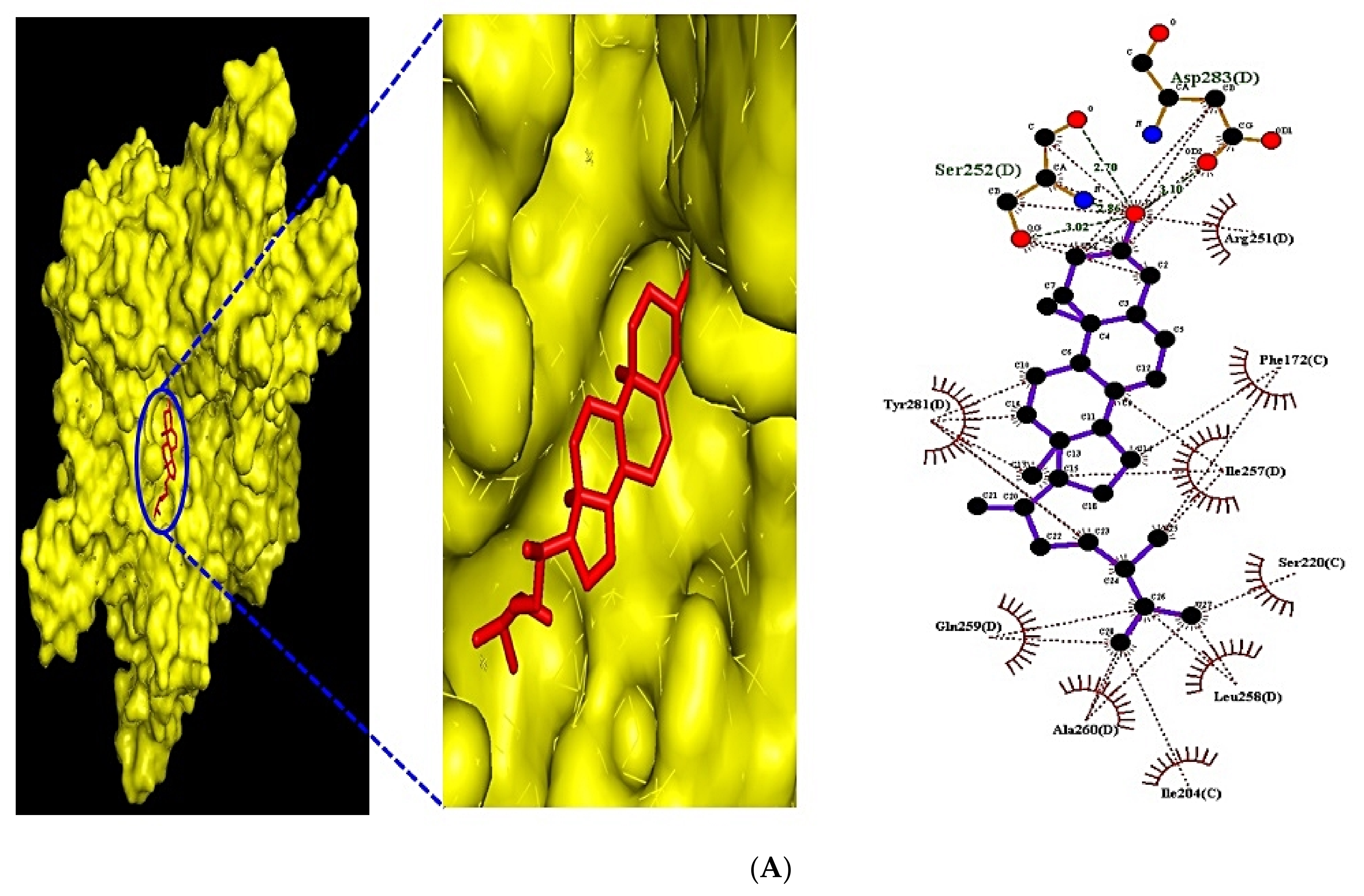 Biology 10 00703 g008a