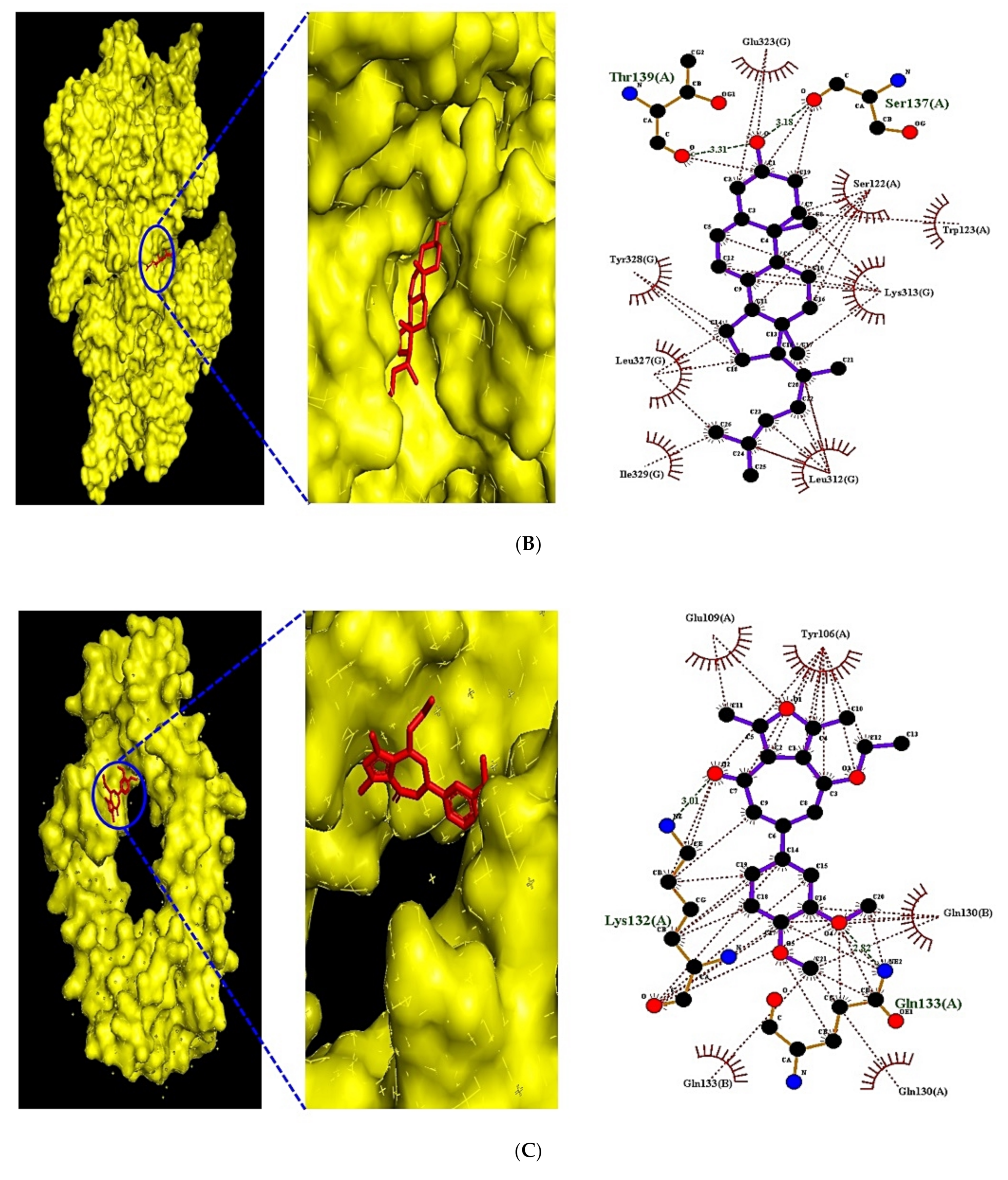 Biology 10 00703 g008b
