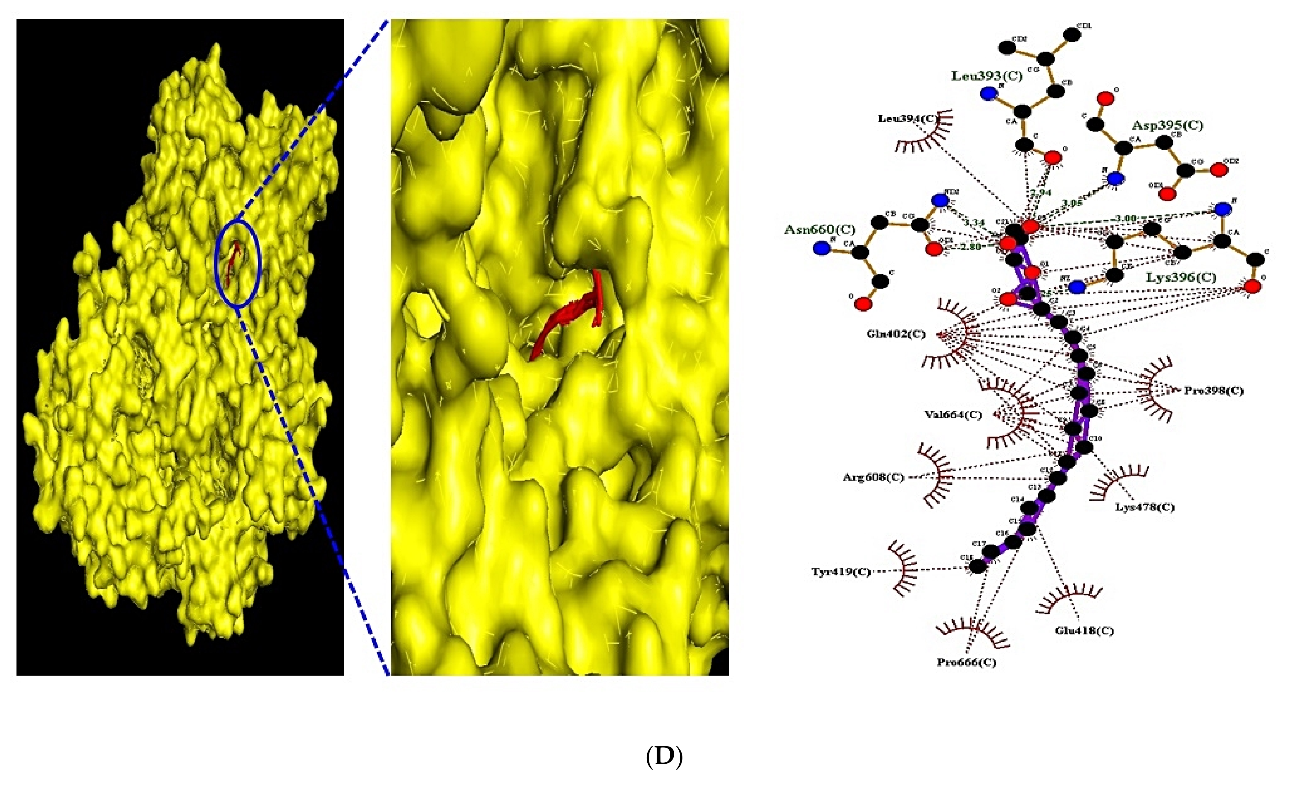 Biology 10 00703 g008c