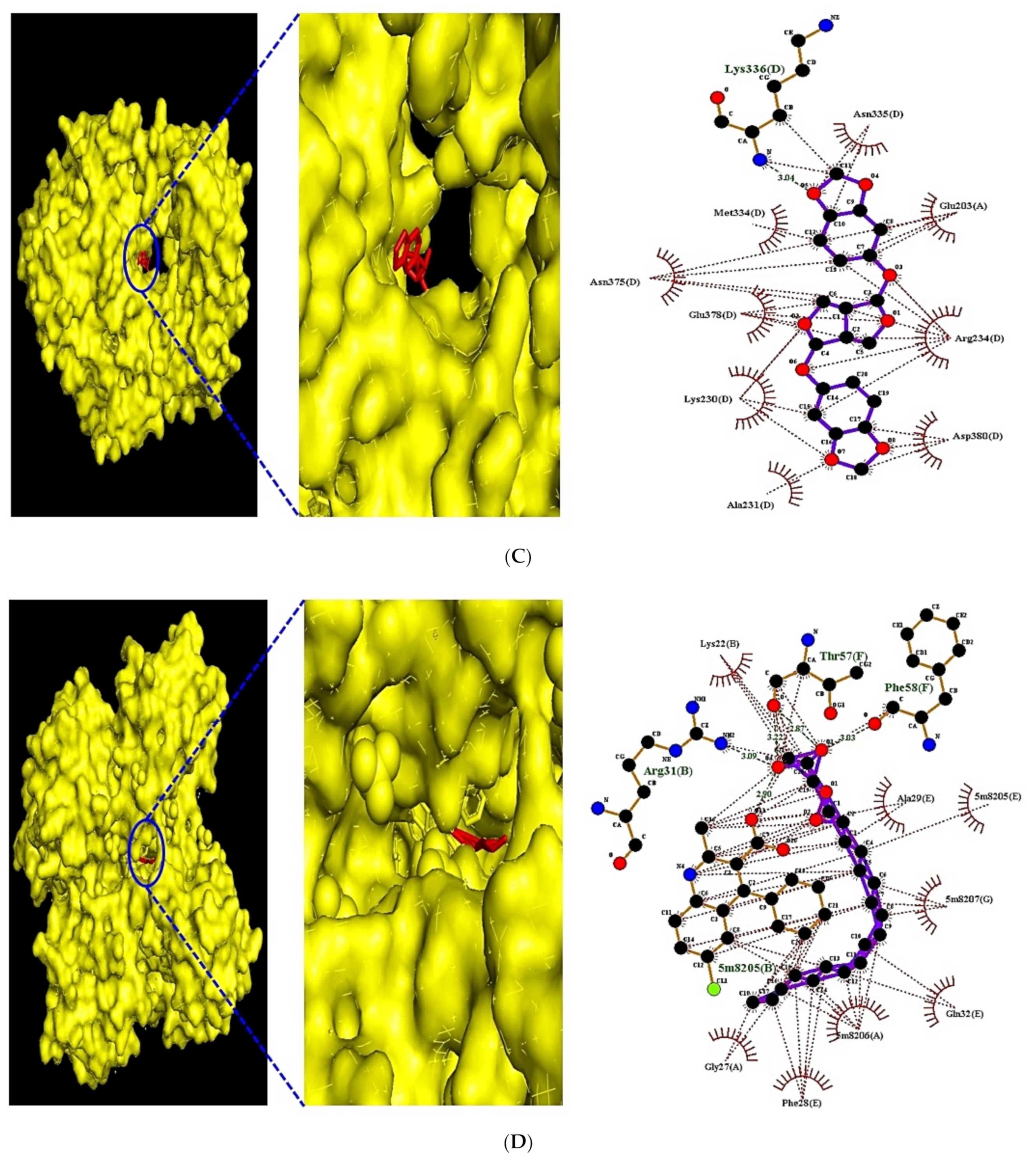 Biology 10 00703 g009b