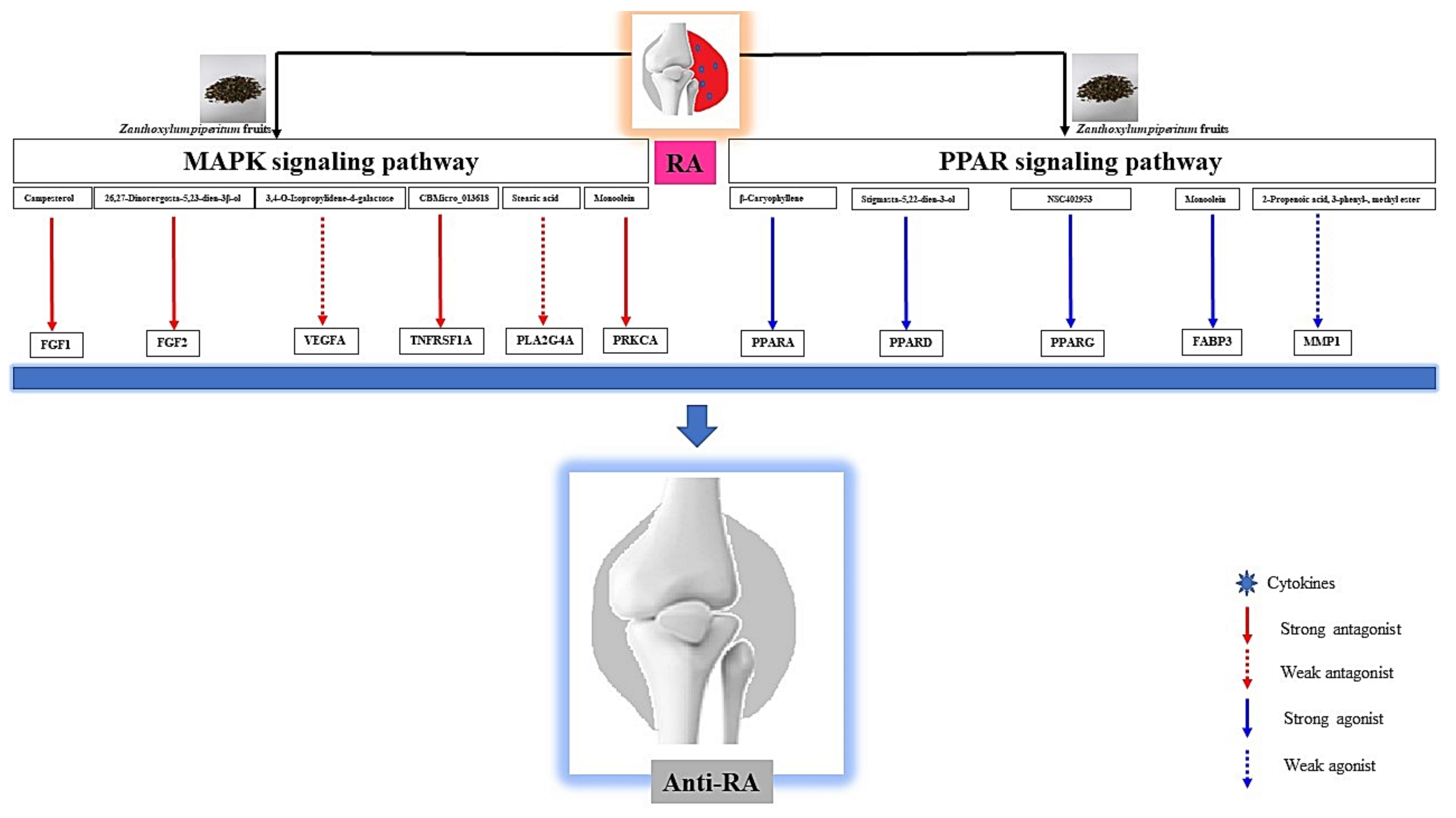 Biology 10 00703 g010