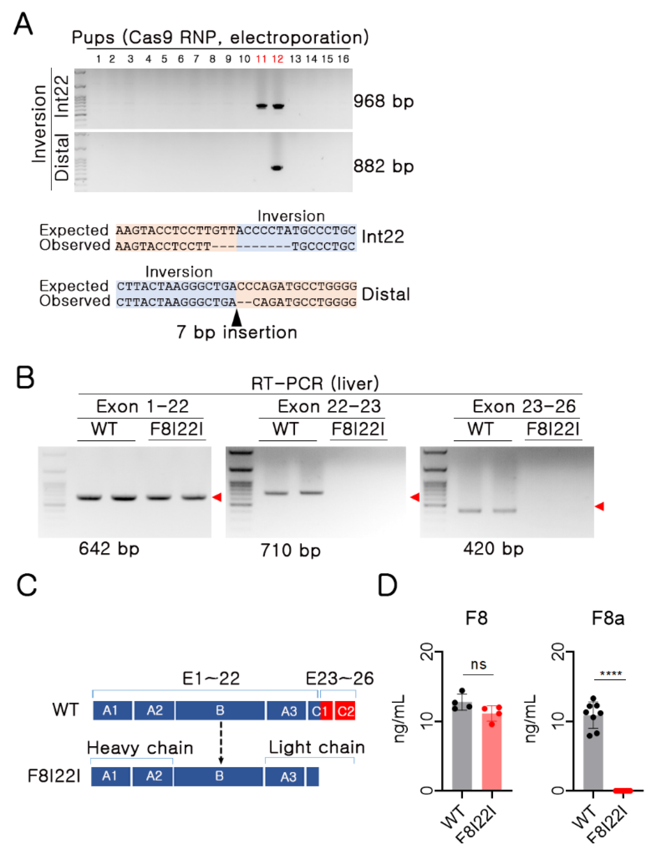 Biology 10 00704 g002