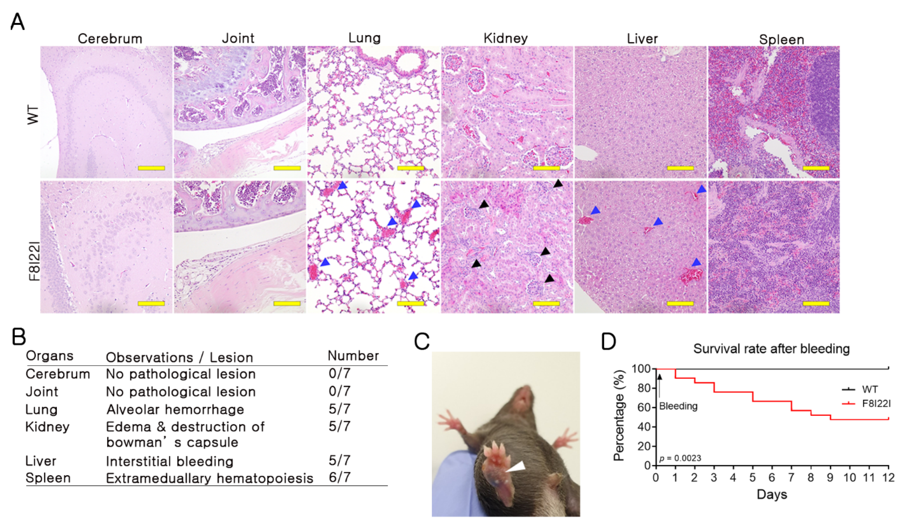 Biology 10 00704 g004