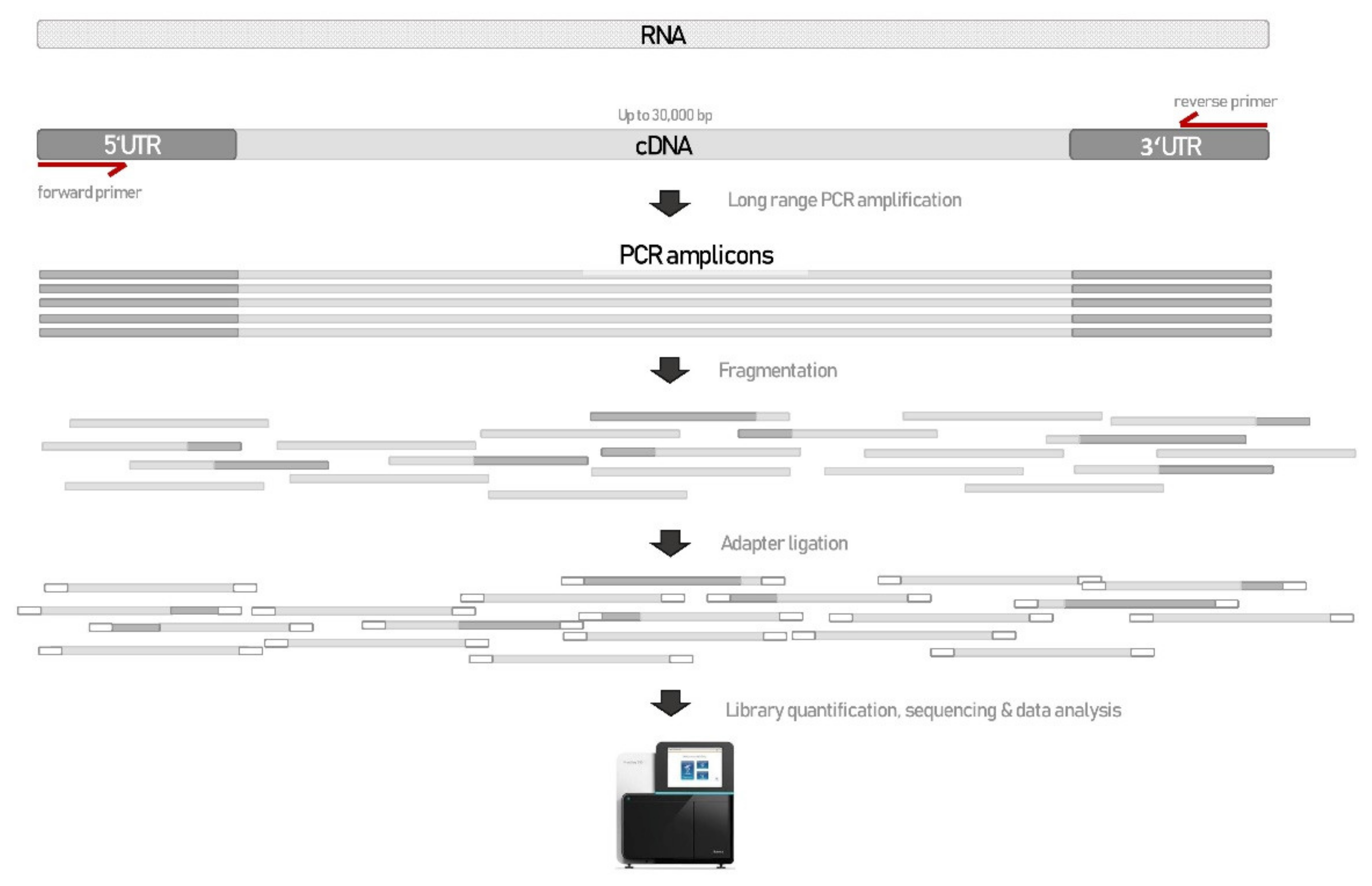 Biology 10 00706 g001