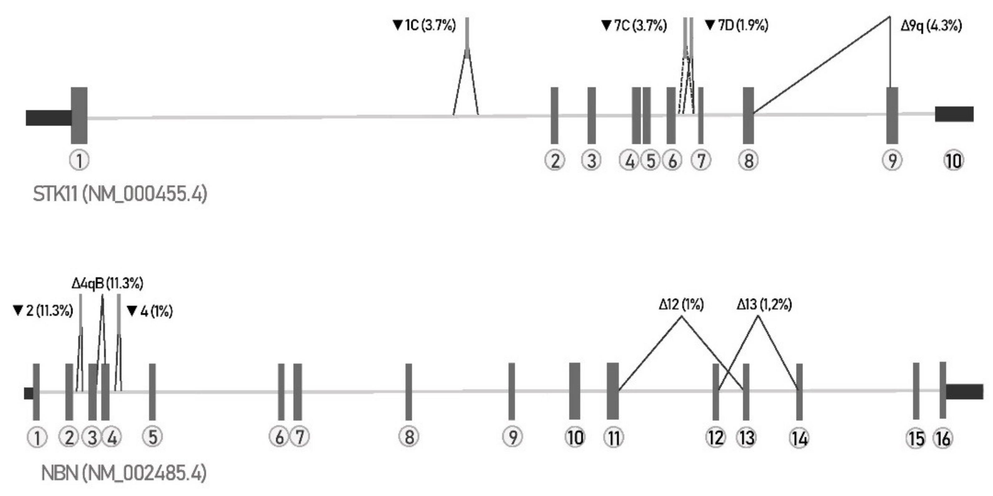 Biology 10 00706 g002