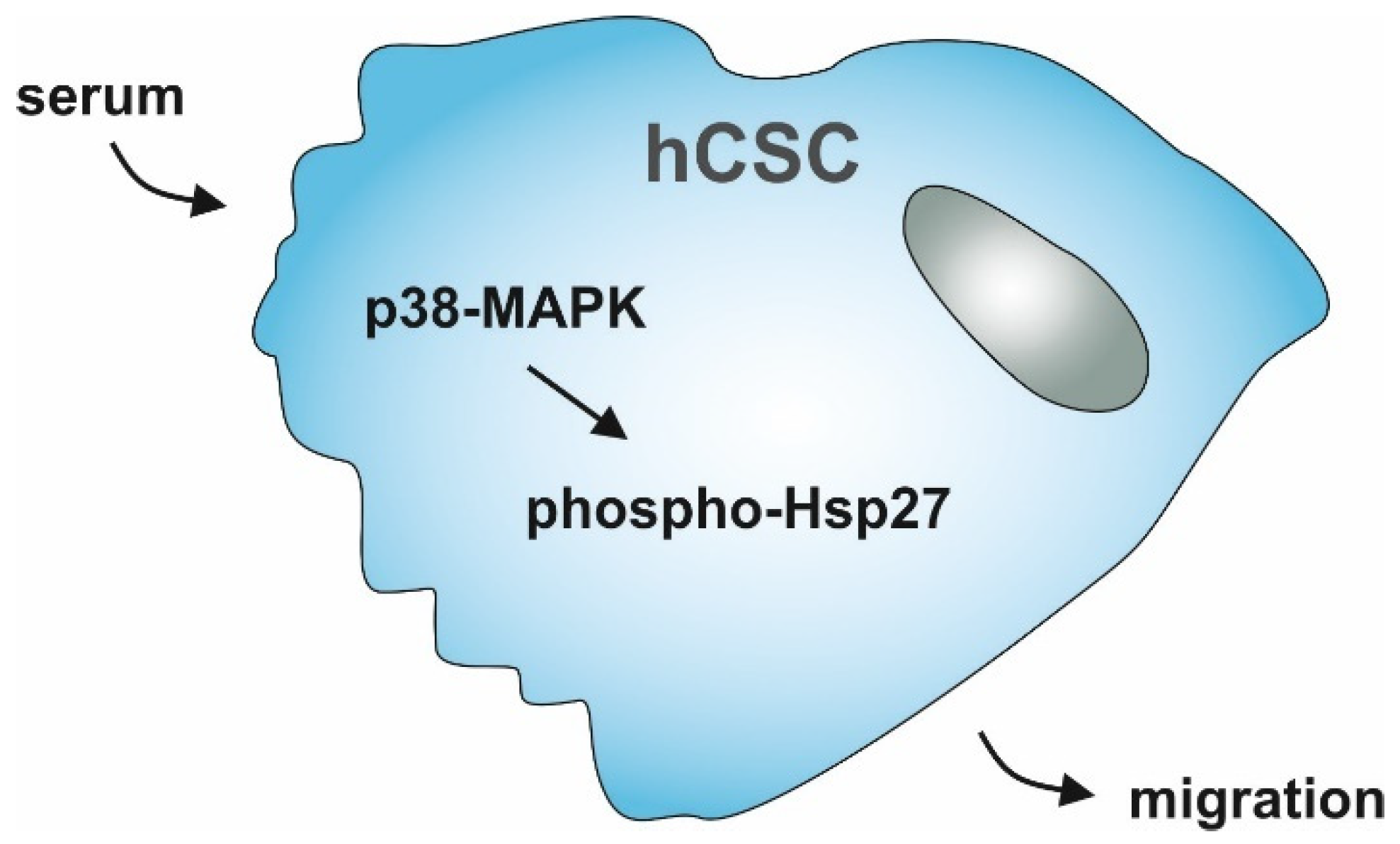 Biology 10 00708 g006