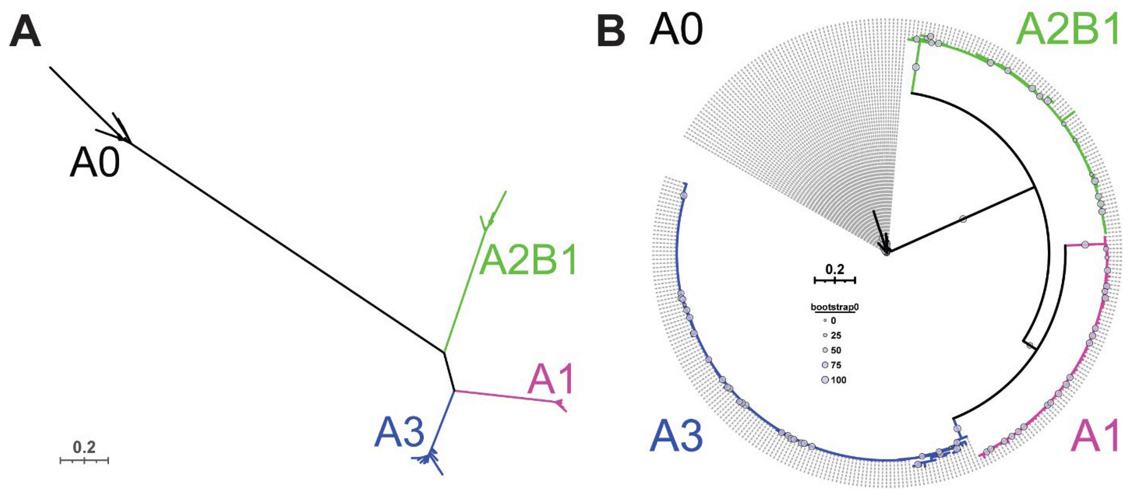 Biology 10 00712 g002
