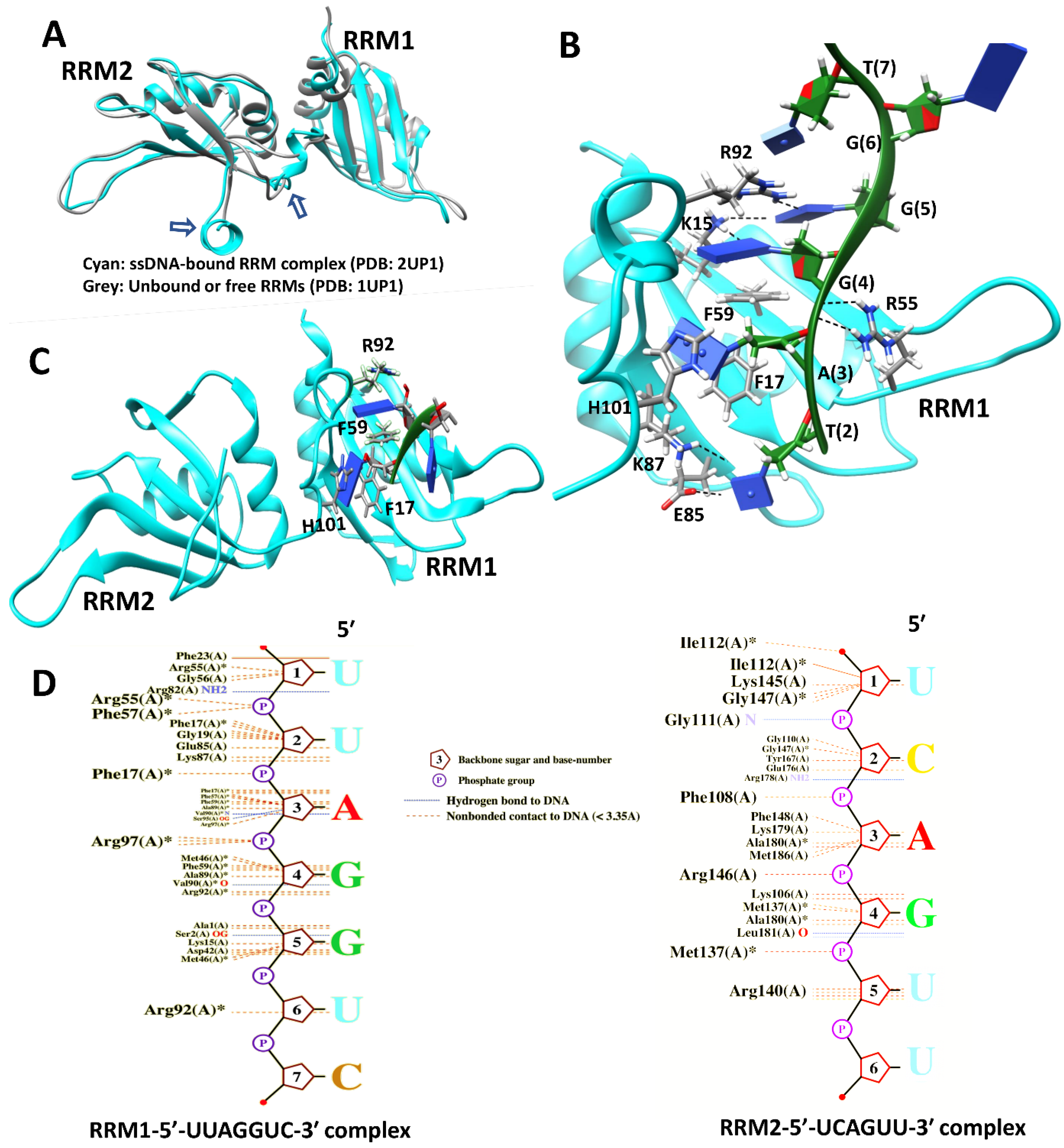 Biology 10 00712 g006