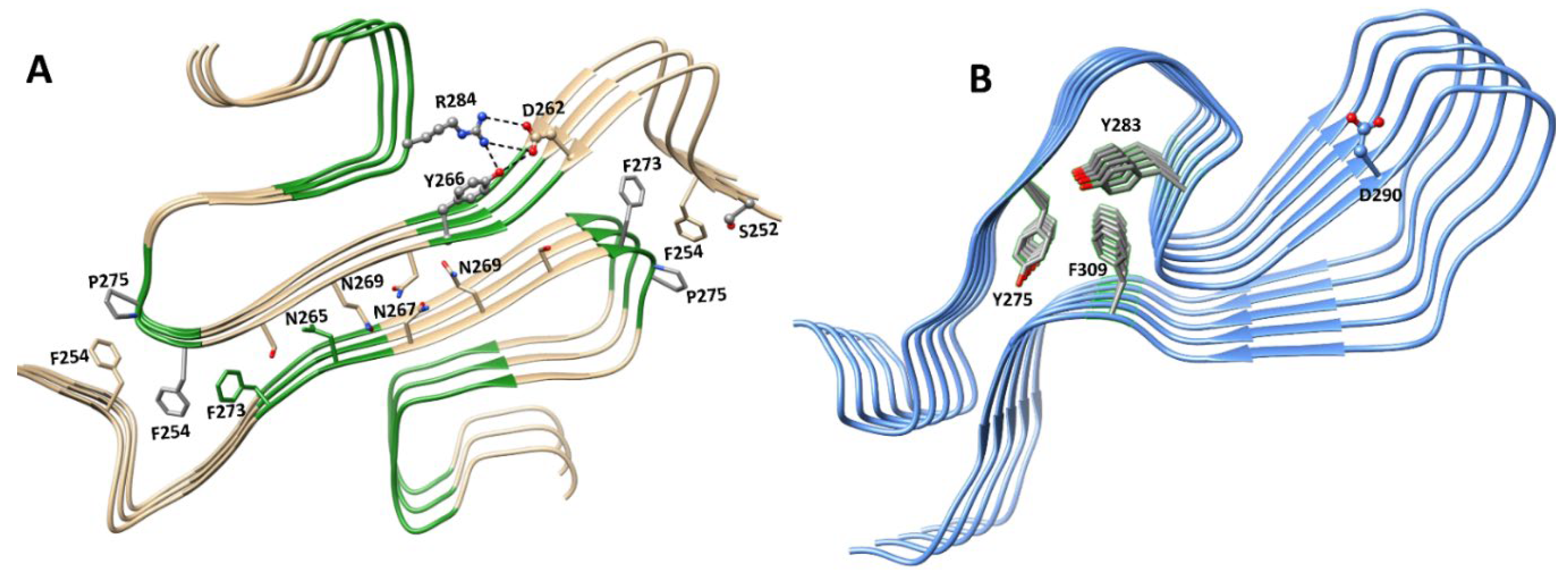 Biology 10 00712 g008