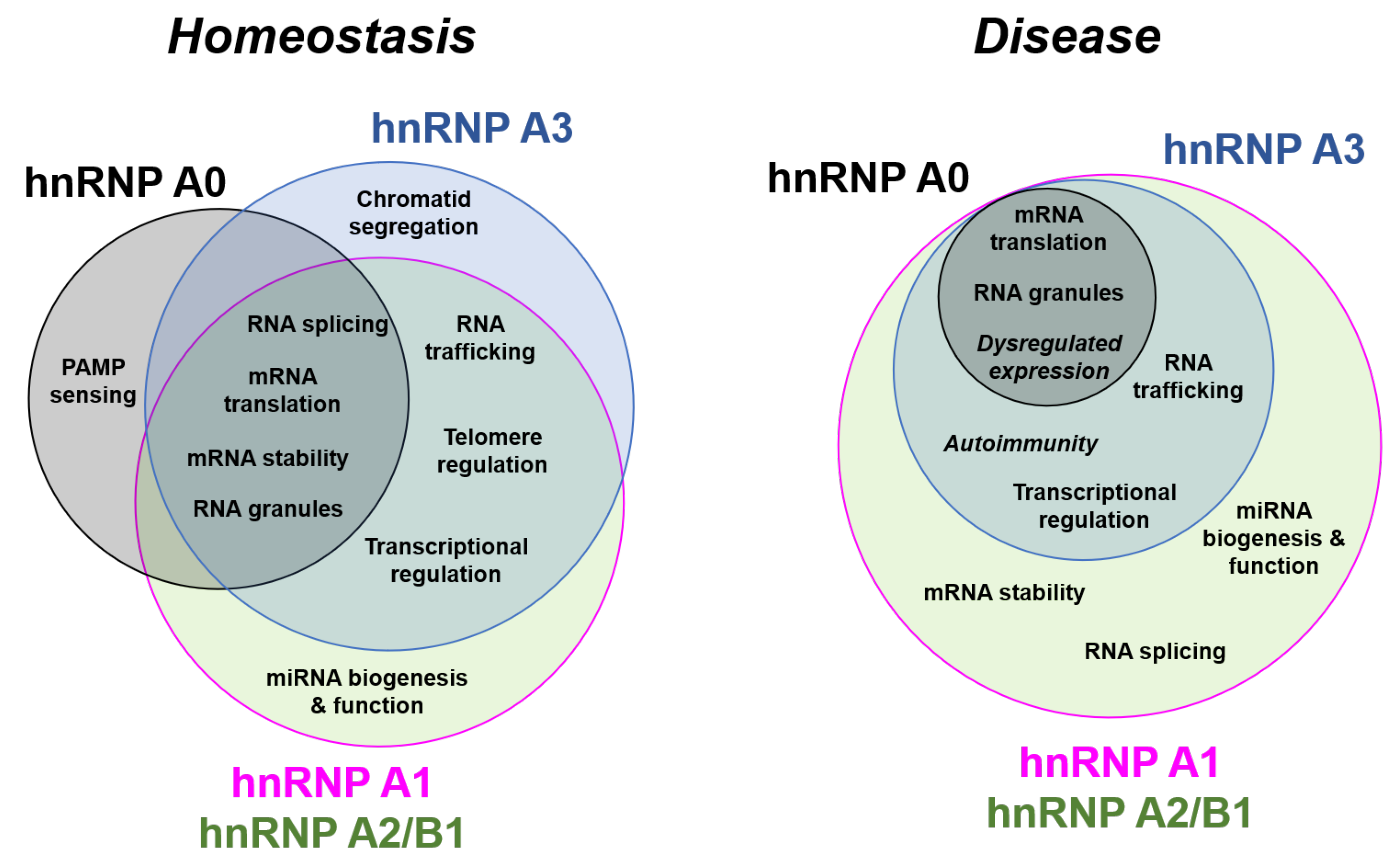 Biology 10 00712 g009
