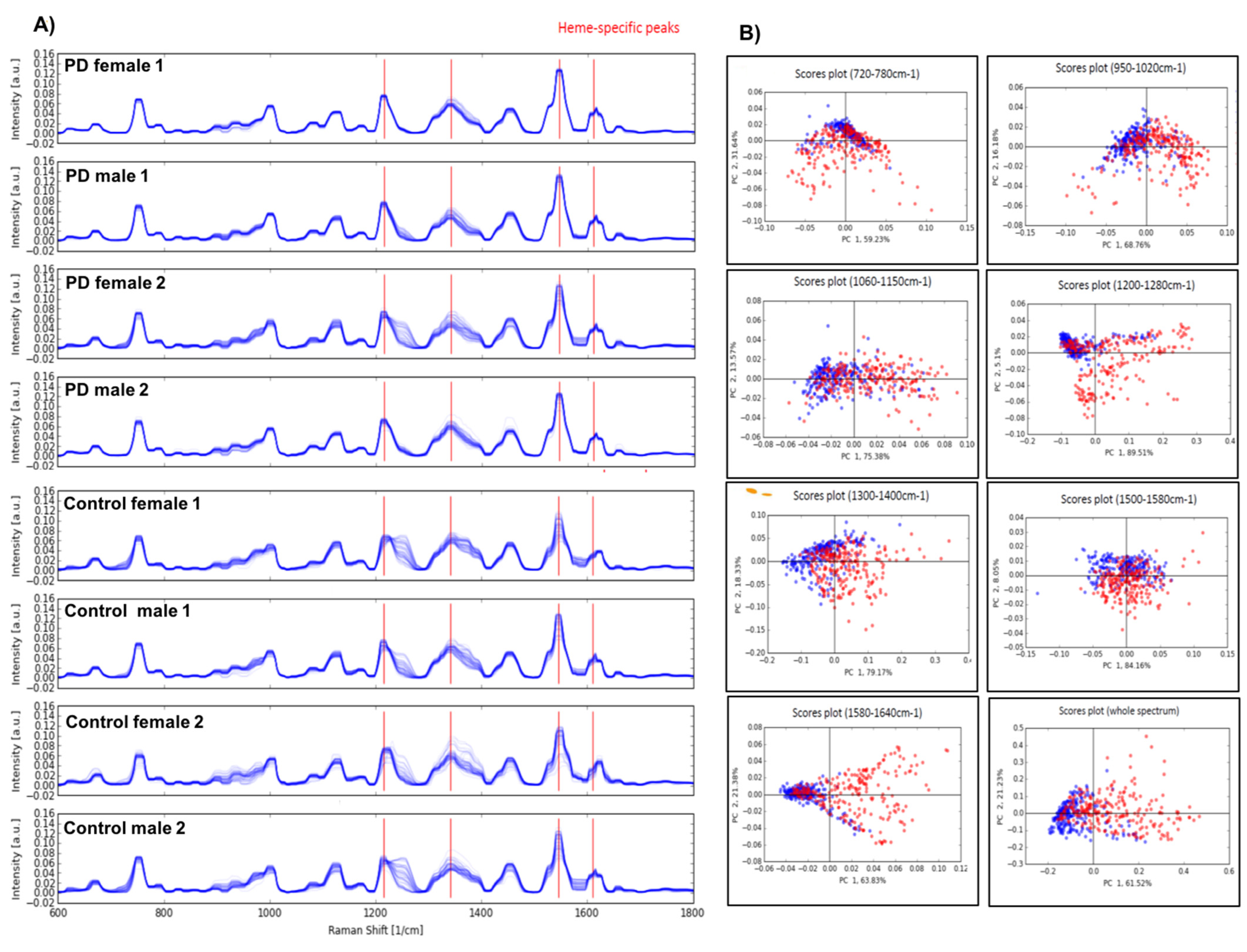 Biology 10 00716 g001